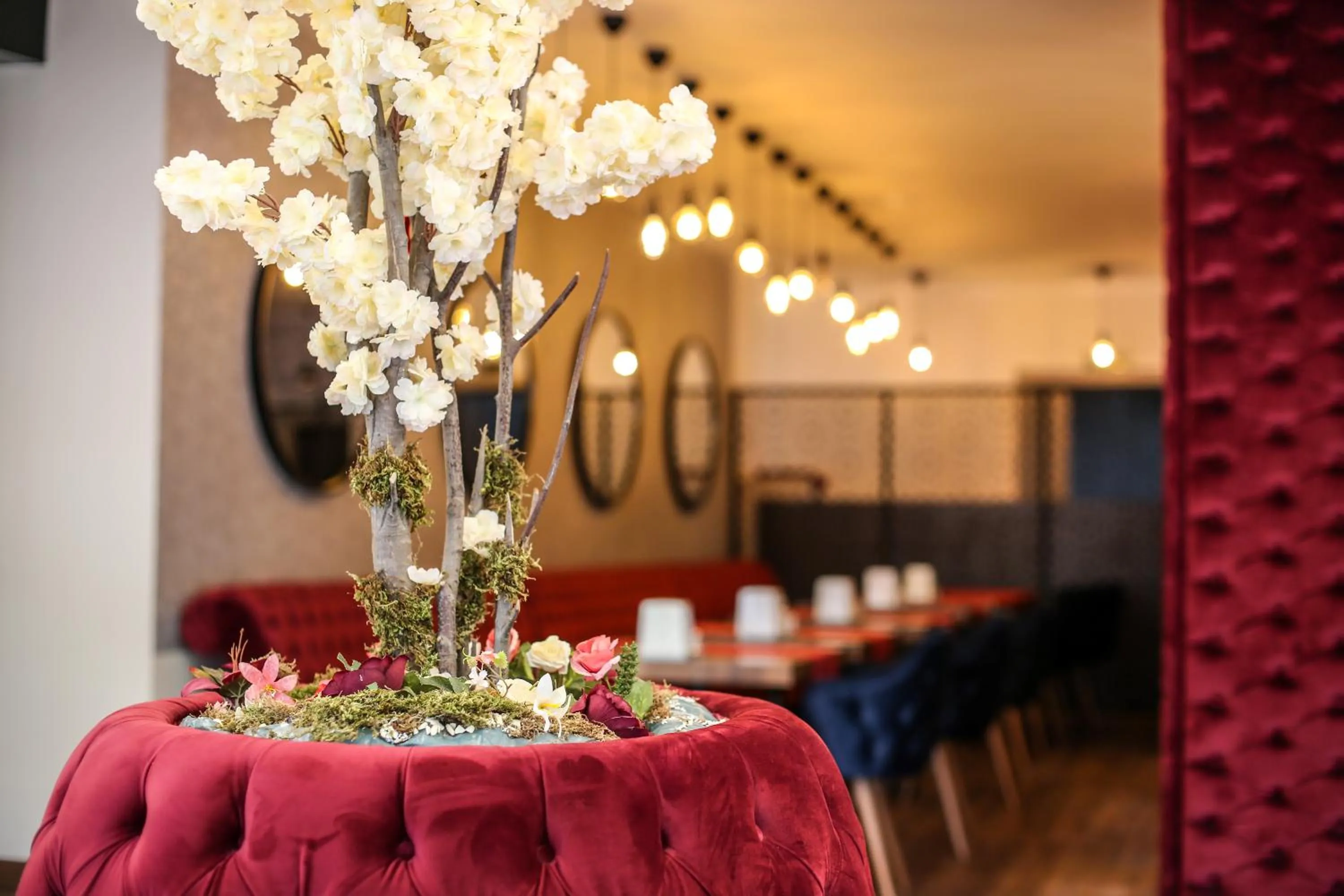 Restaurant/places to eat in Thermal Saray Hotel & Yalova