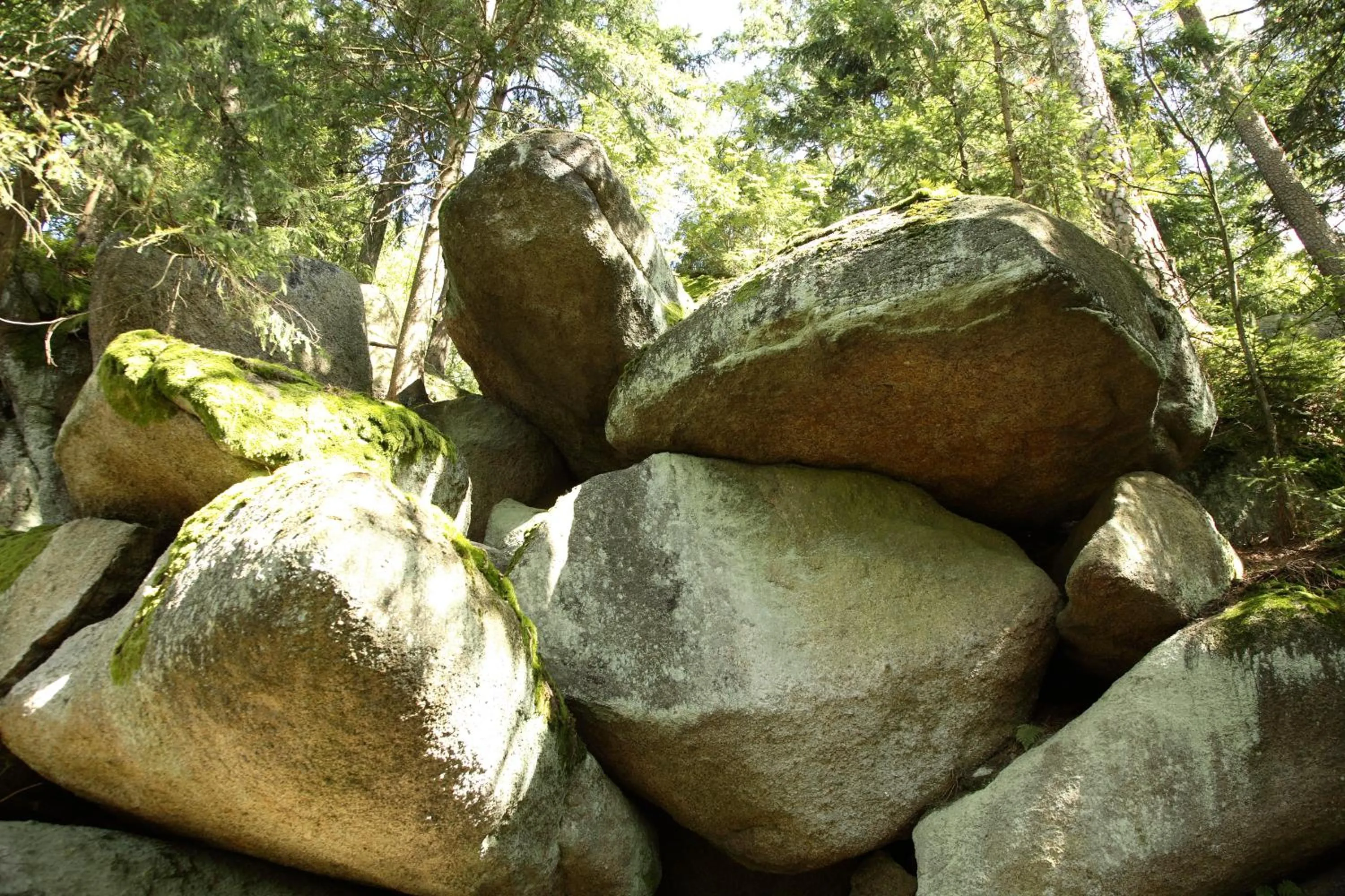 Nearby landmark in Landhaus Am Forst