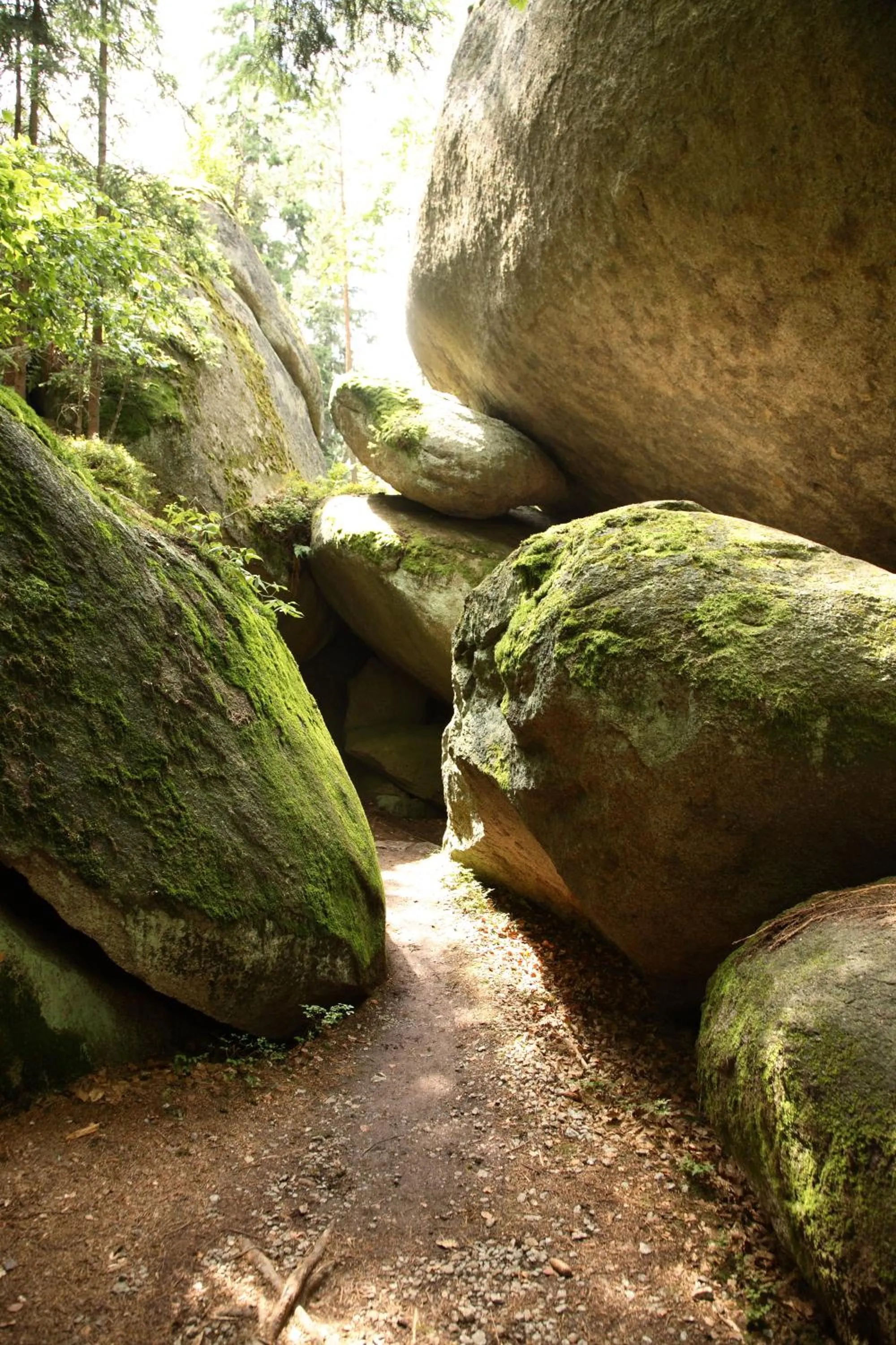 Nearby landmark in Landhaus Am Forst