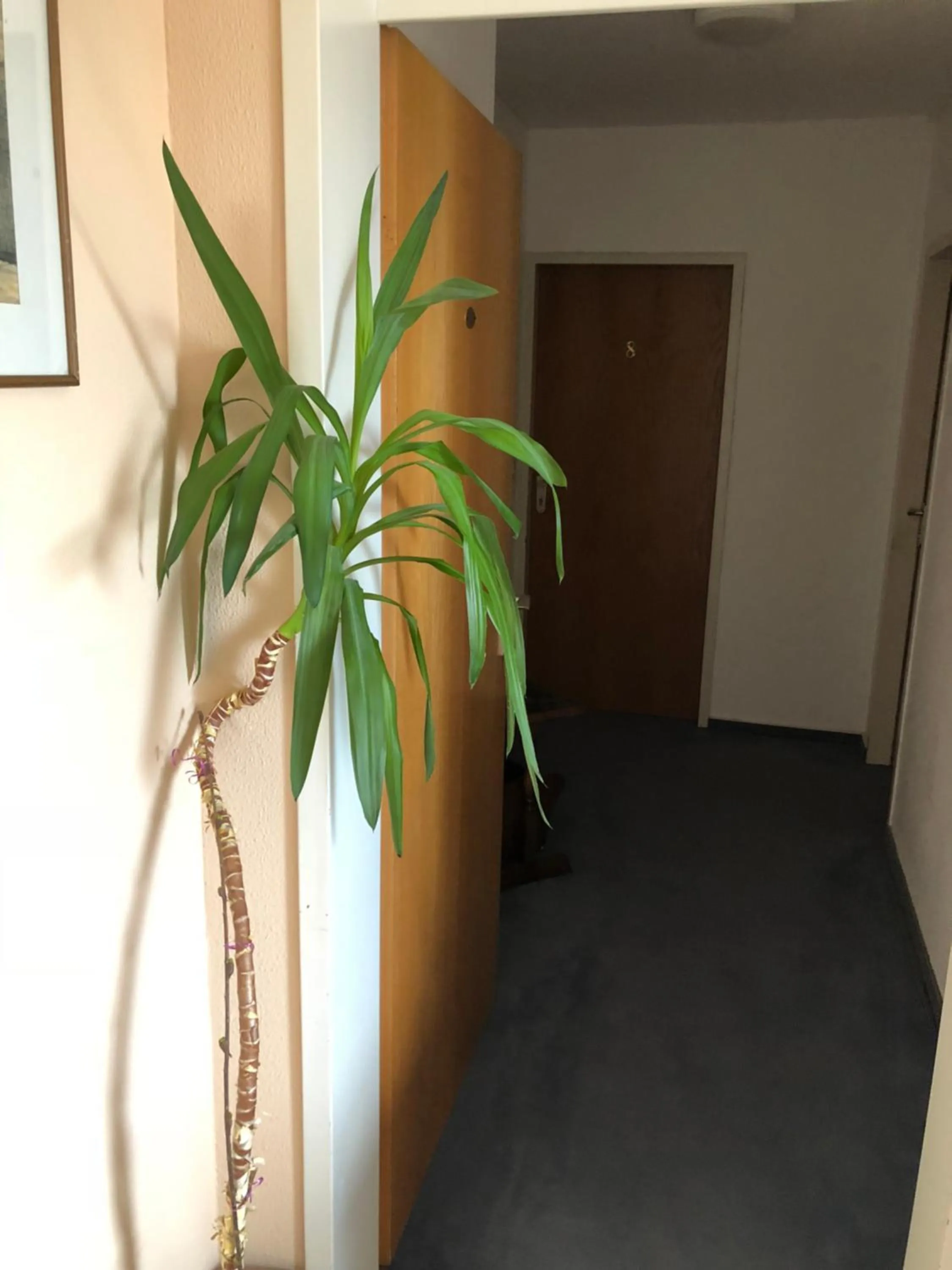 Property building in Hotel Junkerhaus