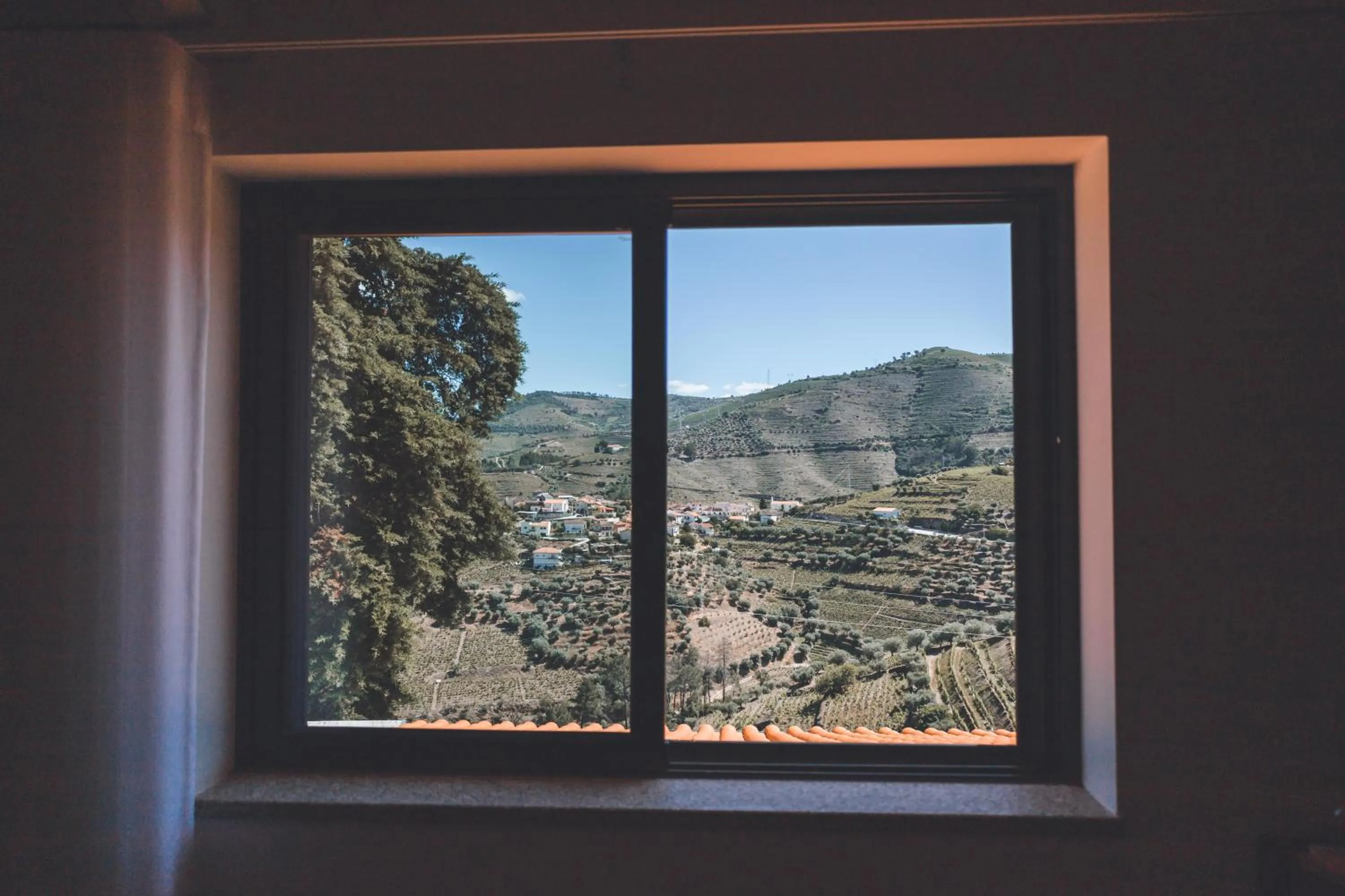 View (from property/room) in Quinta da Portela Douro