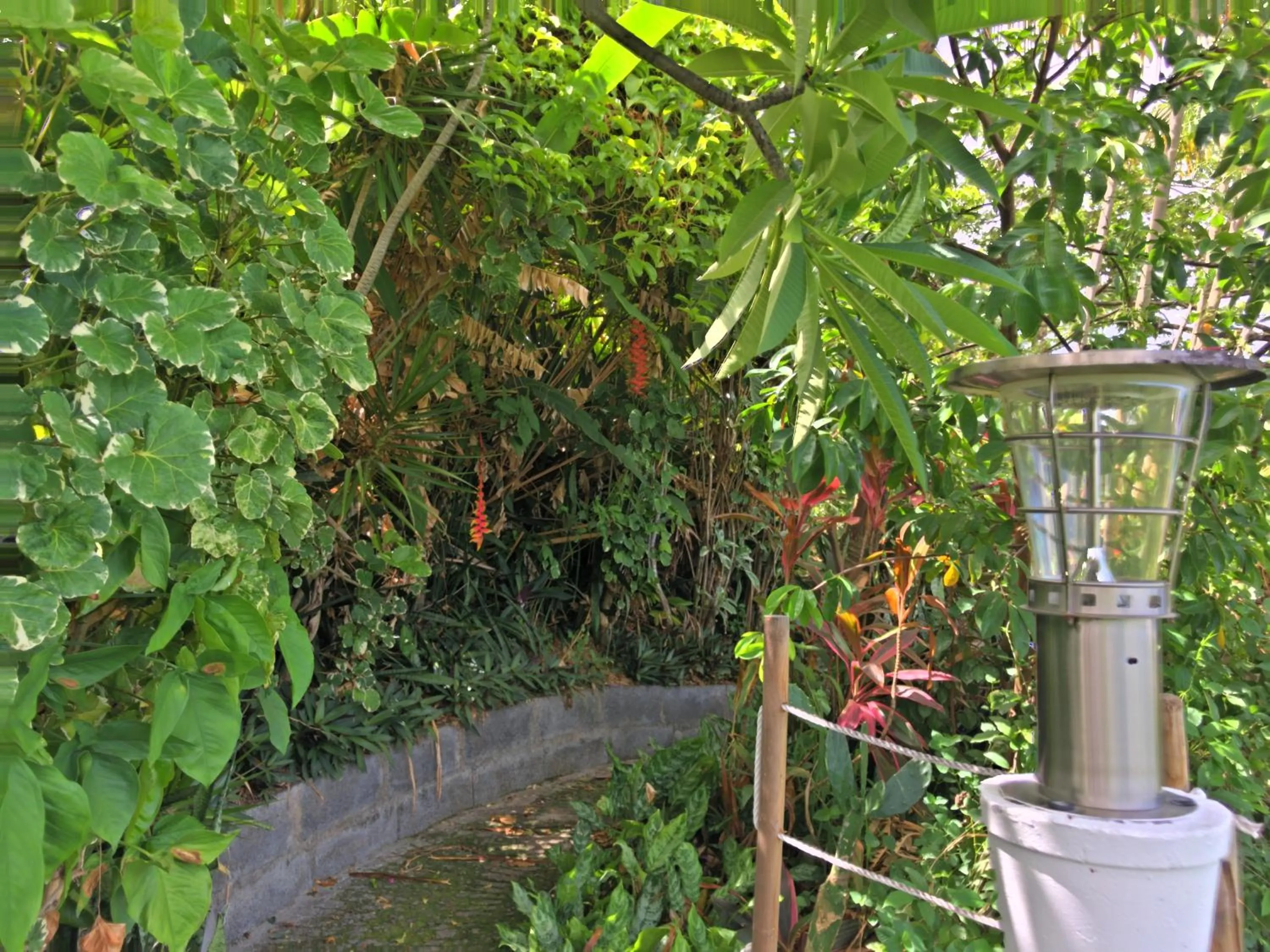 Garden in Résidence Paradis Tropical