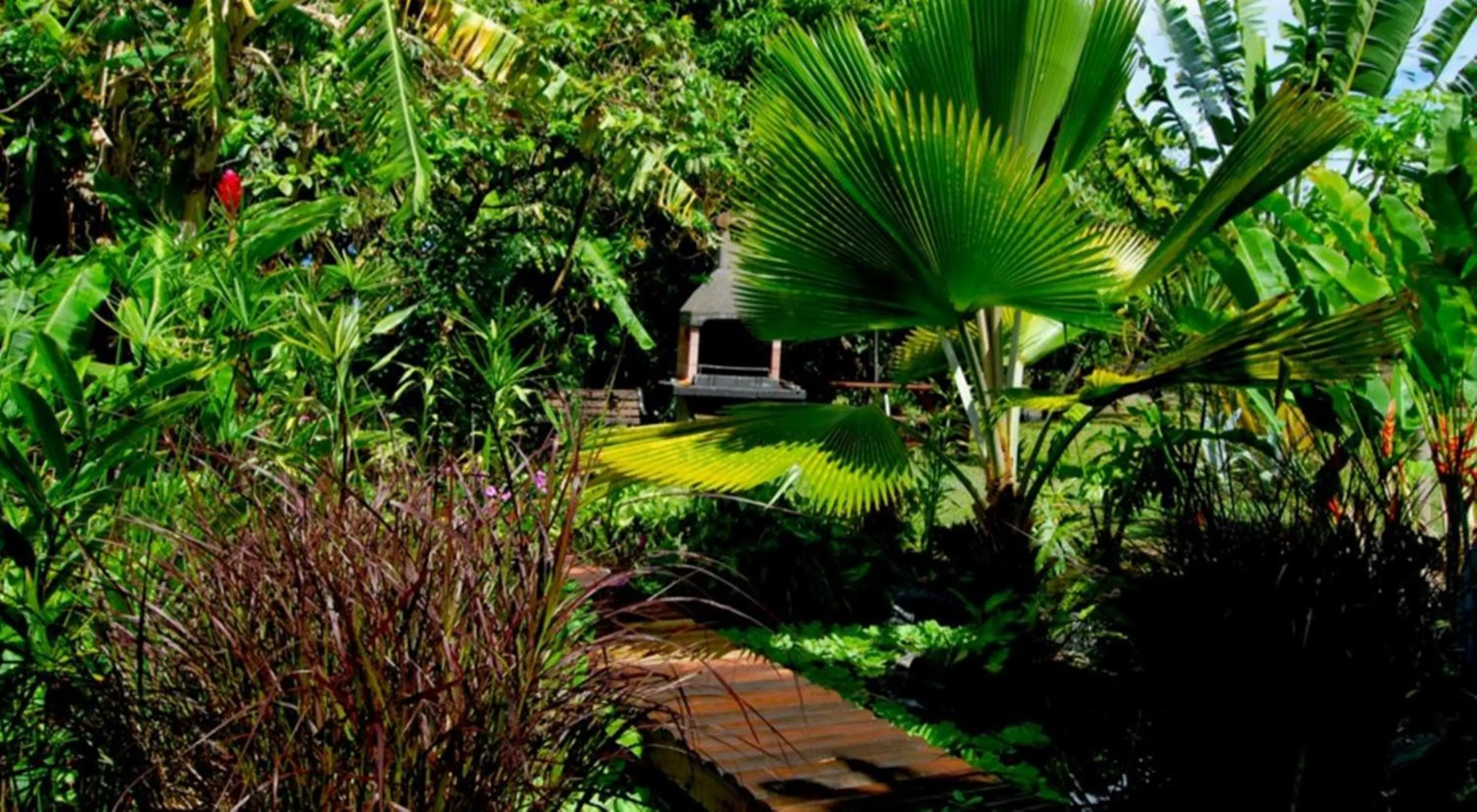 Garden in Résidence Paradis Tropical
