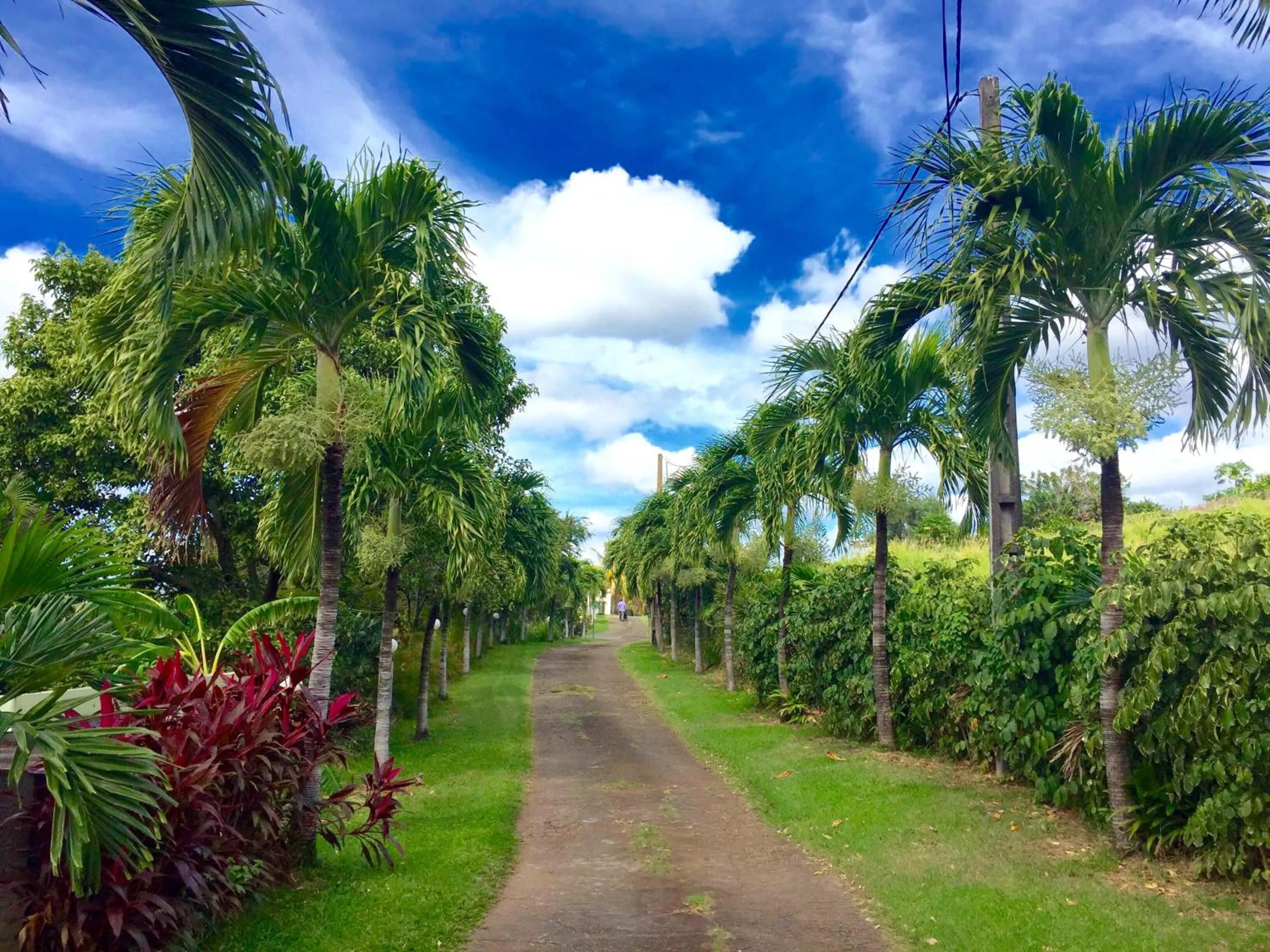 Facade/entrance in Résidence Paradis Tropical