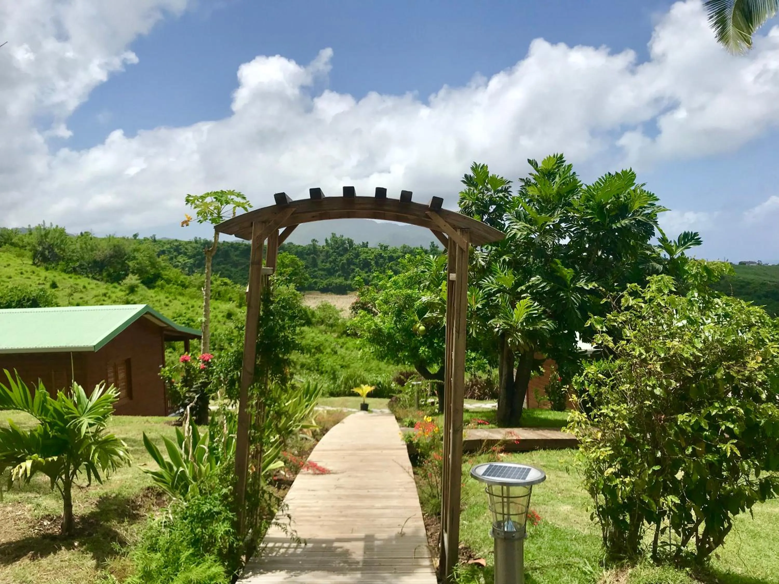 Garden in Résidence Paradis Tropical