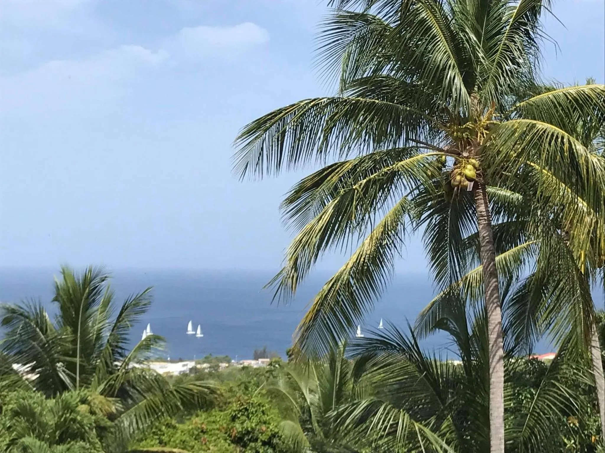 Sea view in Résidence Paradis Tropical