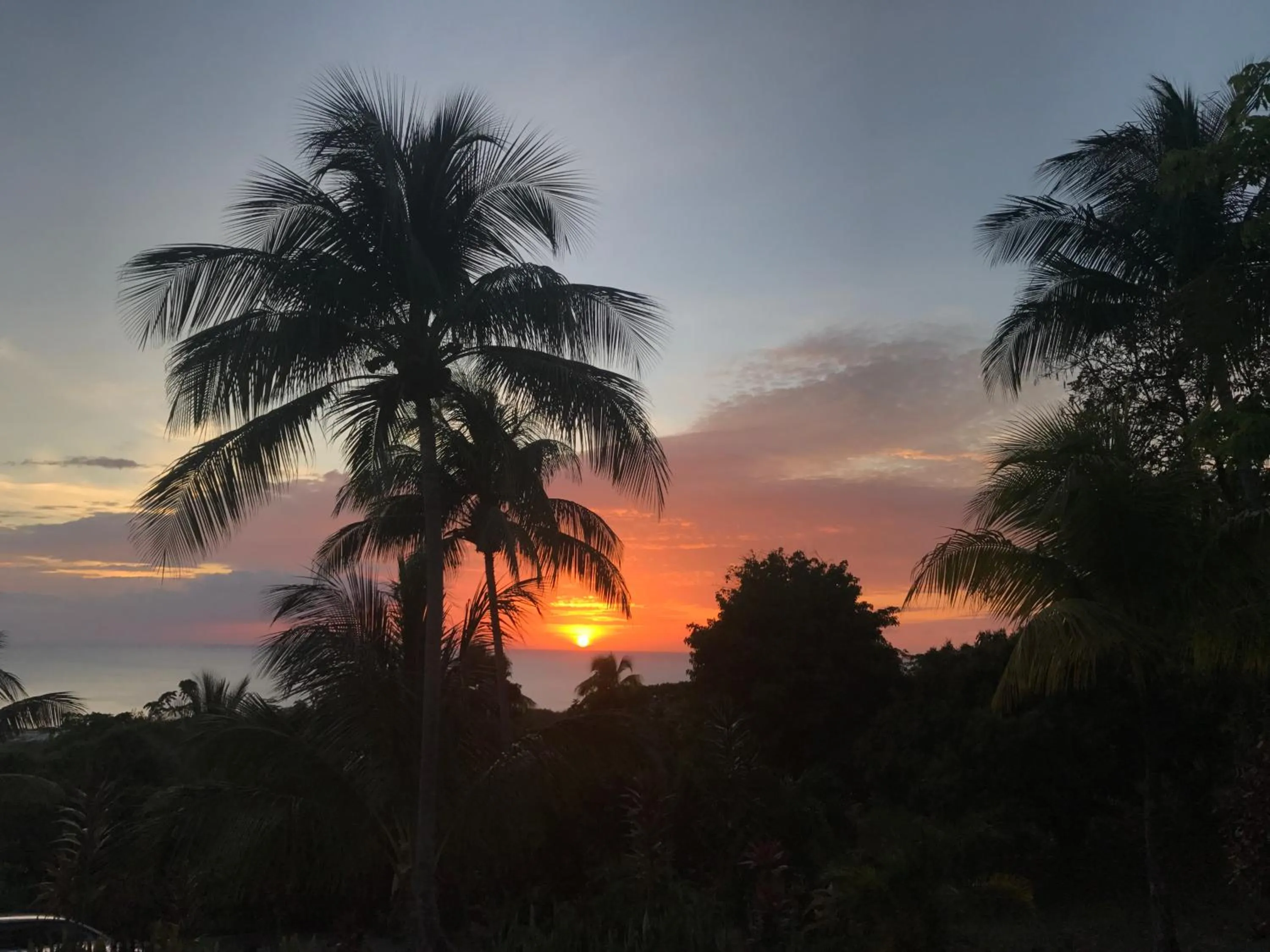 Sea view in Résidence Paradis Tropical