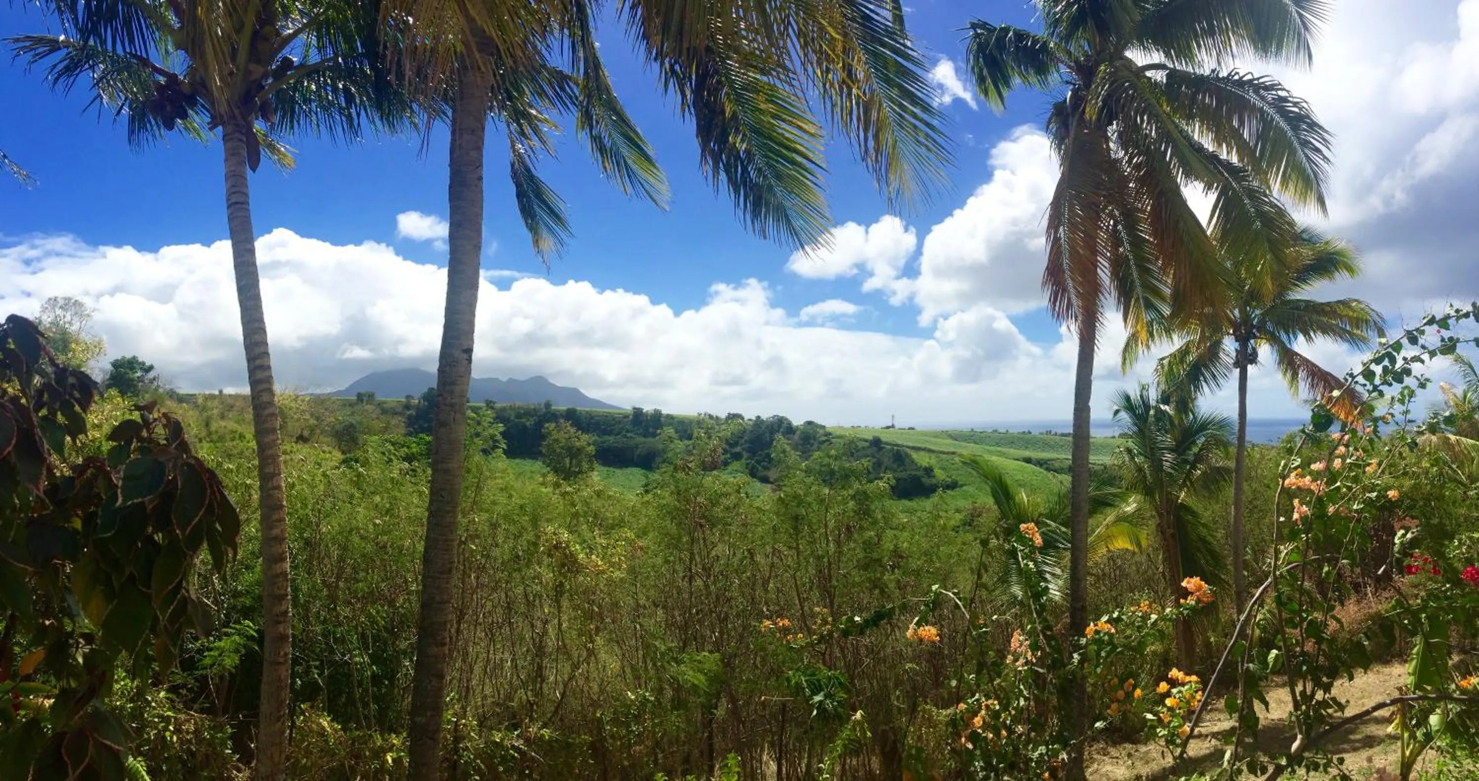 Day in Résidence Paradis Tropical