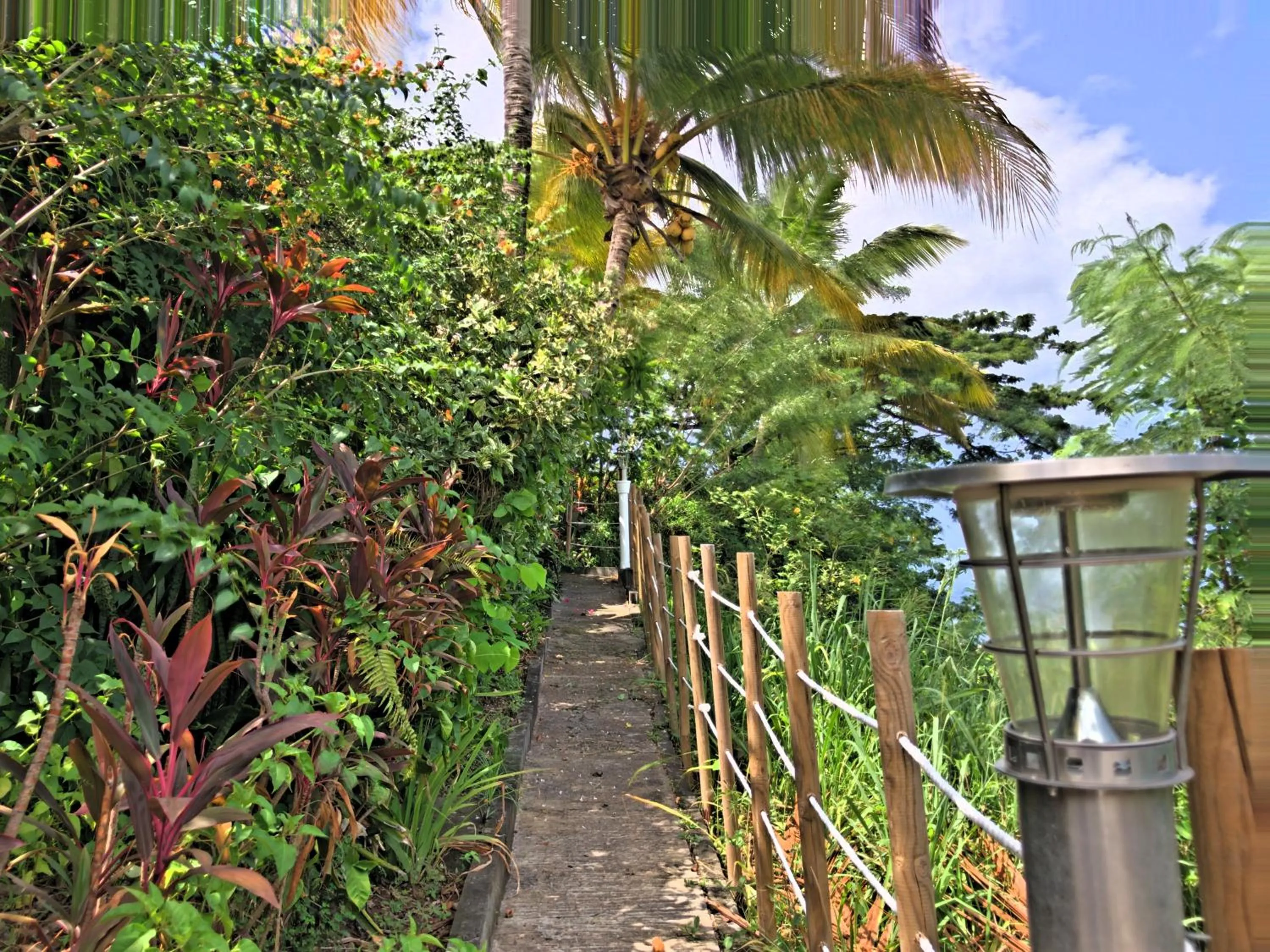 Garden in Résidence Paradis Tropical