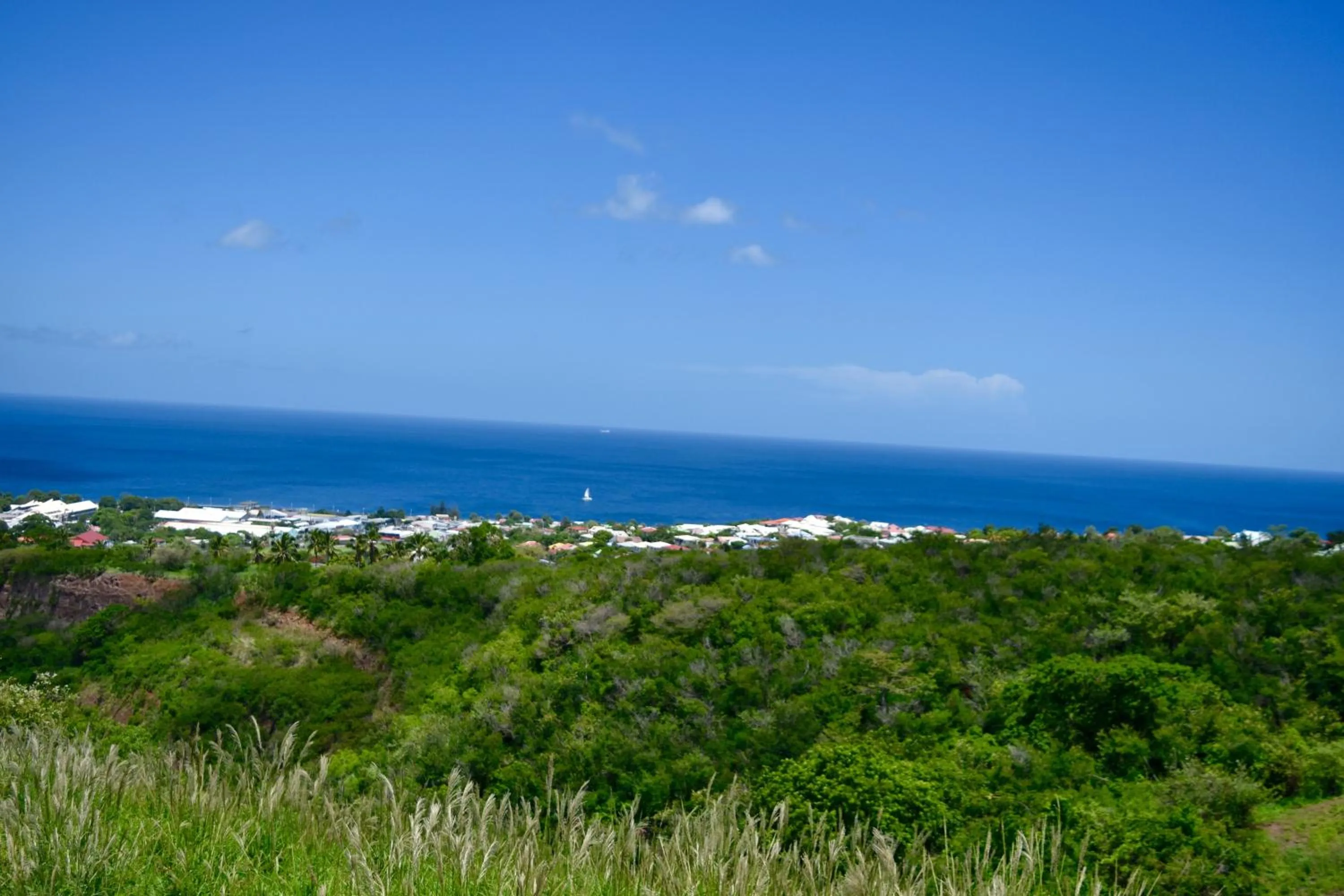Natural landscape in Résidence Paradis Tropical
