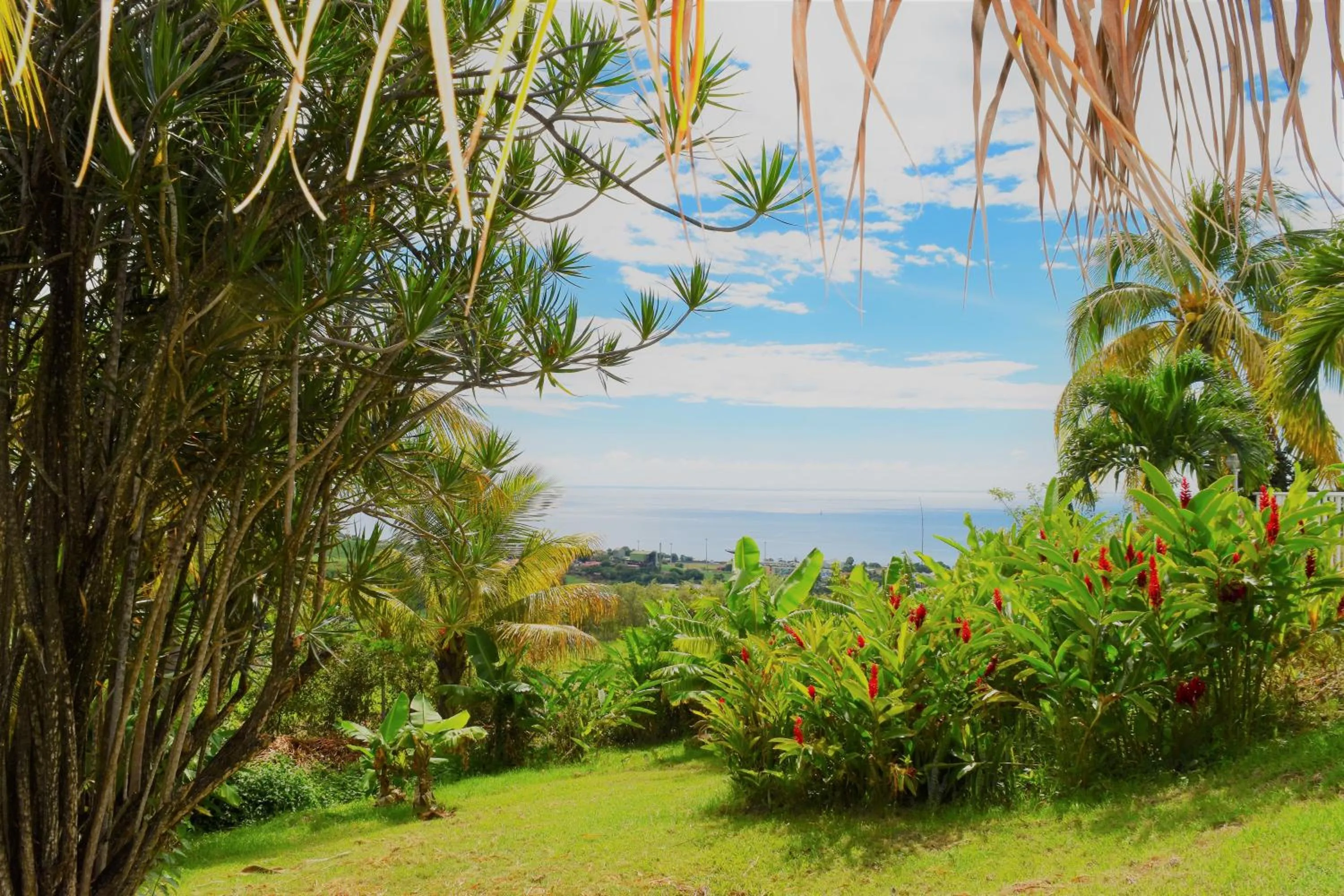 Garden view in Résidence Paradis Tropical