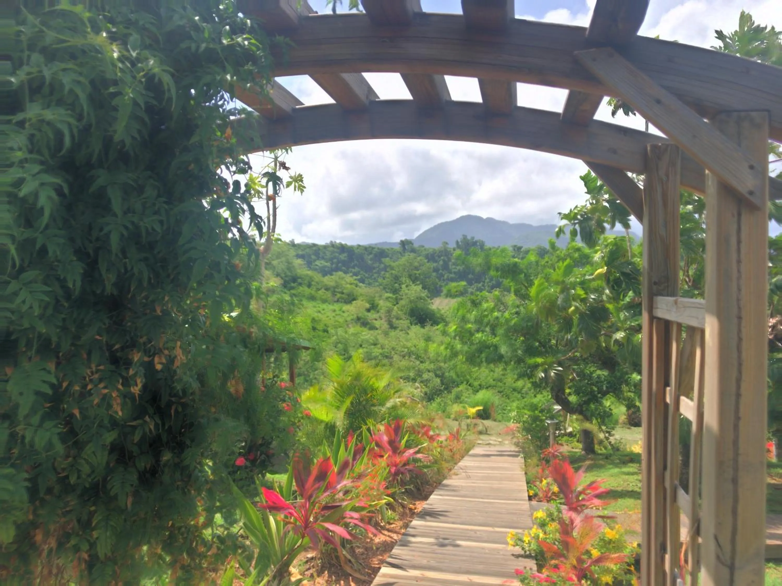 Garden in Résidence Paradis Tropical