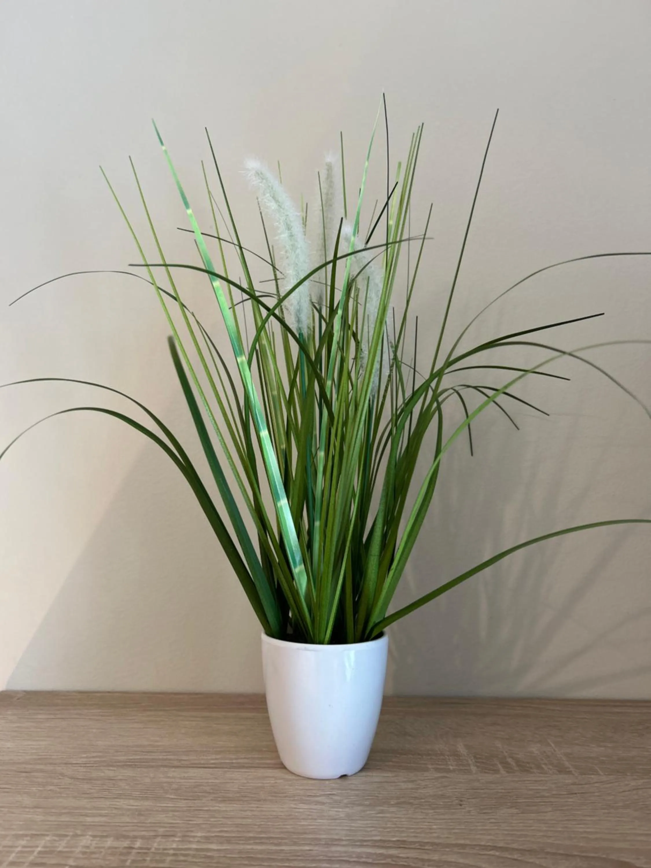 Decorative detail in WohnRaum Gäste- & Boardinghaus