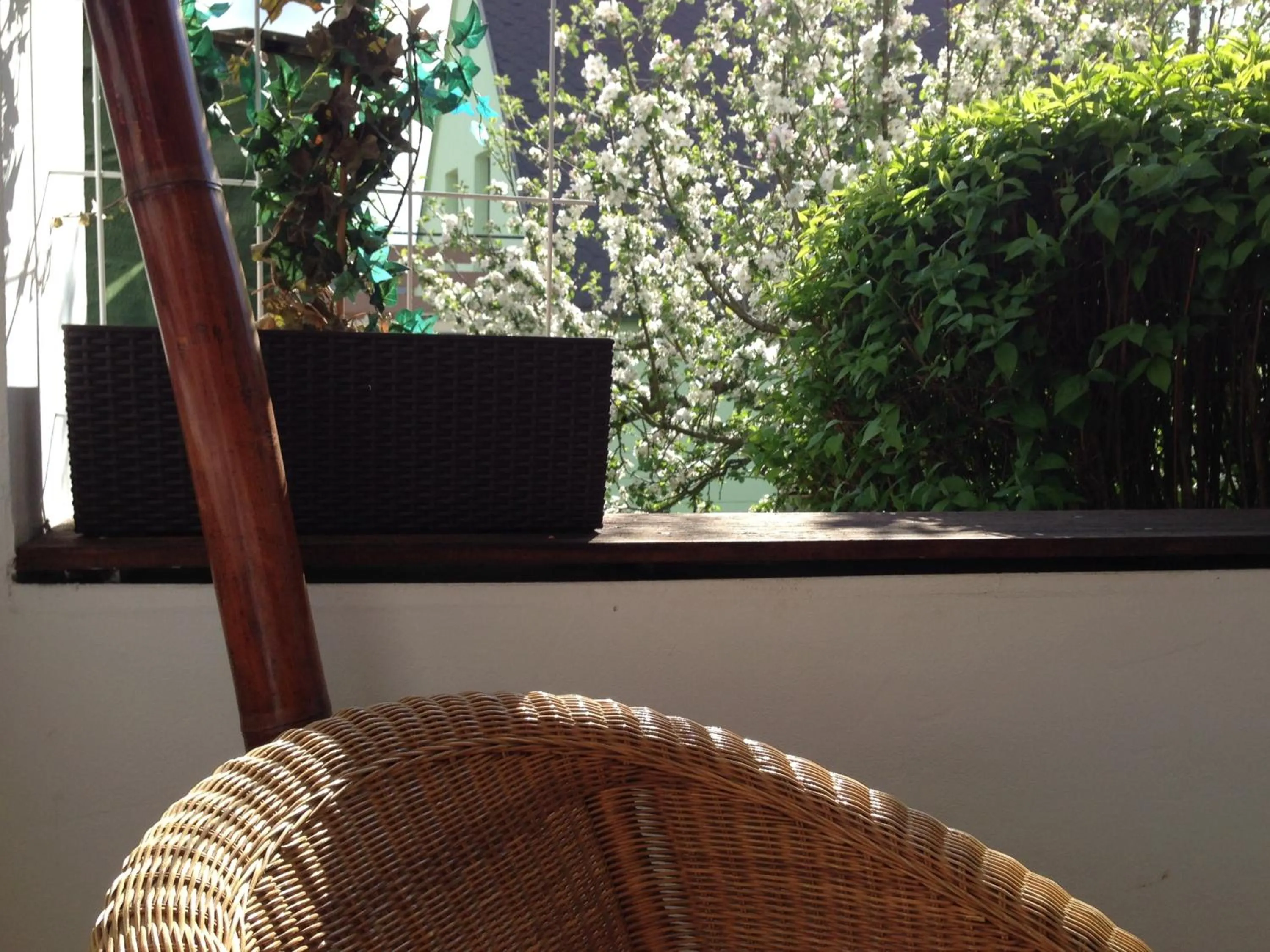 Day in WohnRaum Gäste- & Boardinghaus