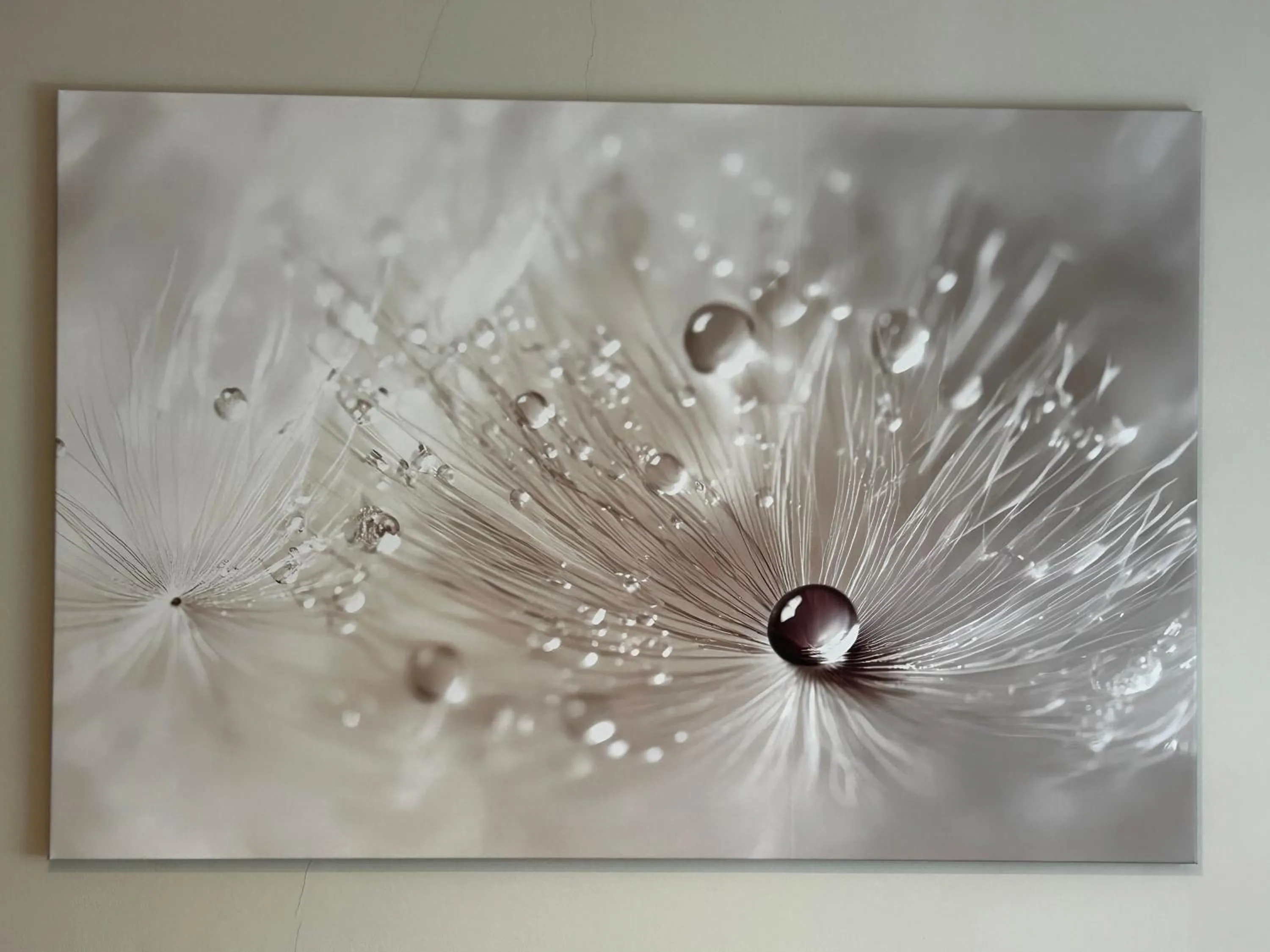 Decorative detail in WohnRaum Gäste- & Boardinghaus