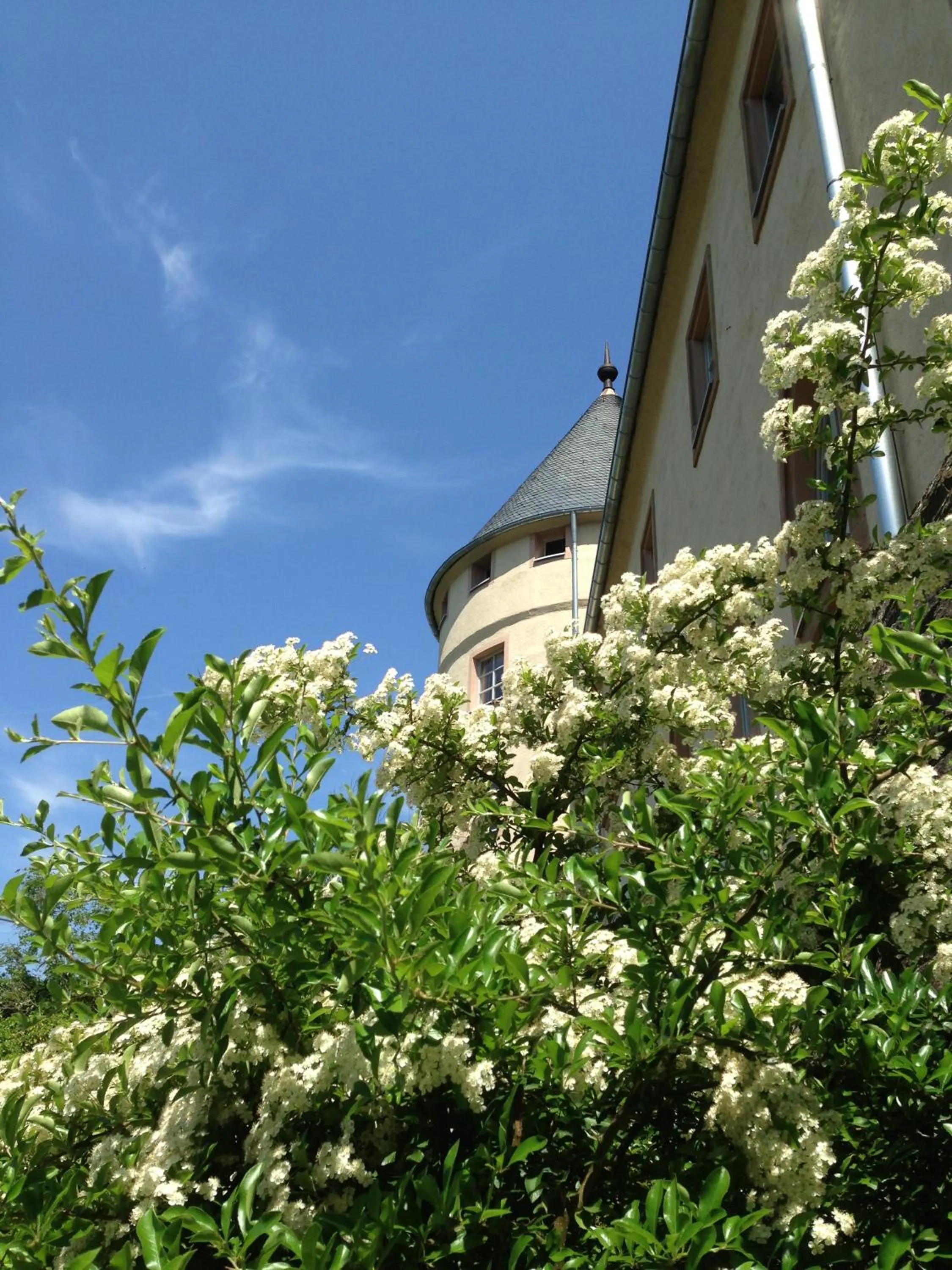 Other in Ev.Familienferien-und Bildungsstätte Ebernburg