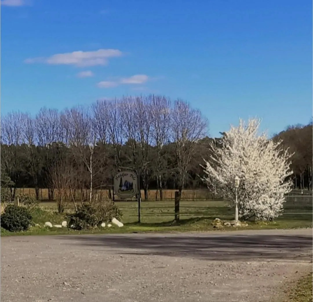 Natural landscape in Landhotel Heidkrug