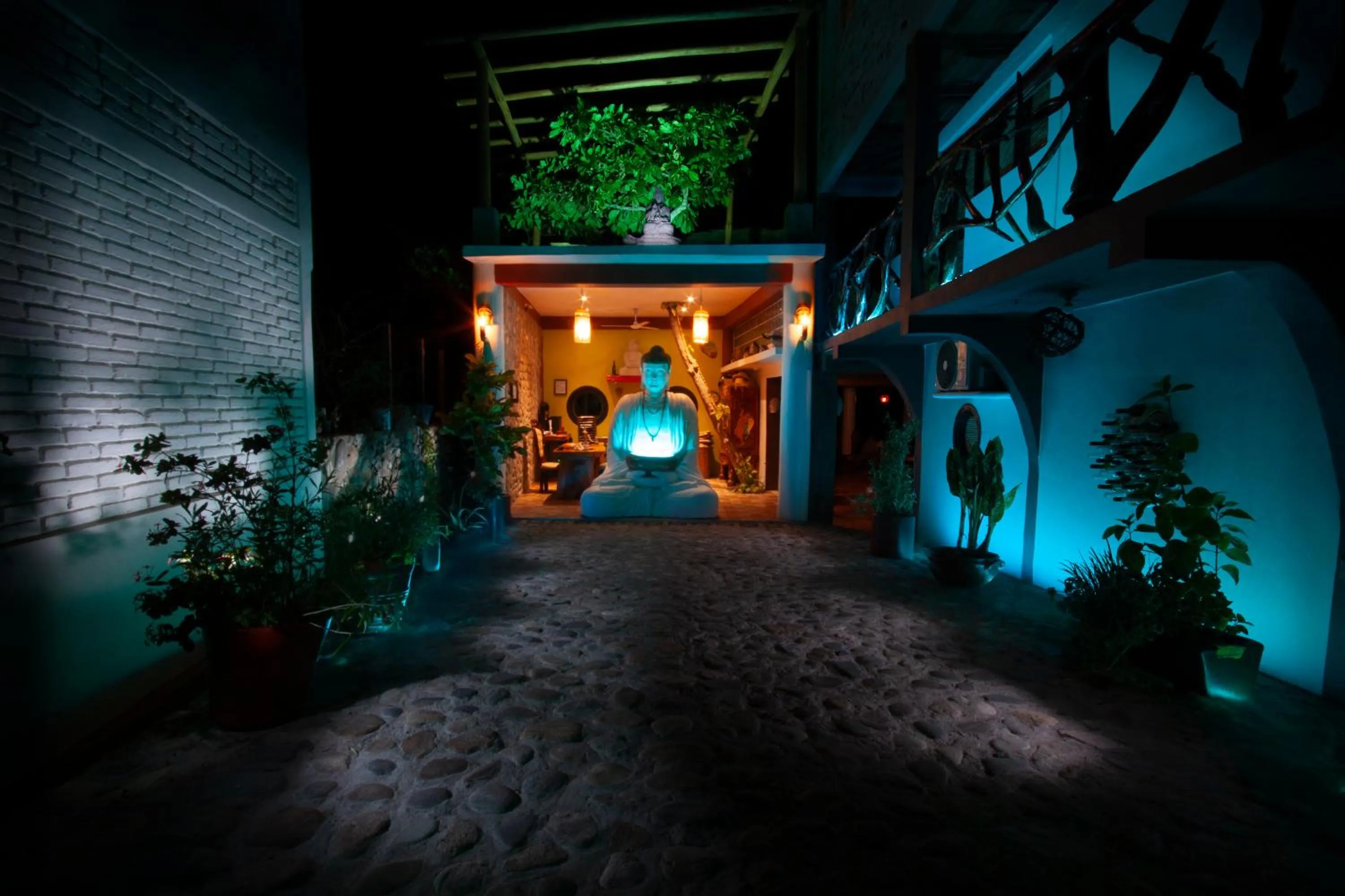 Lobby or reception in Posada Buda-Tortuga