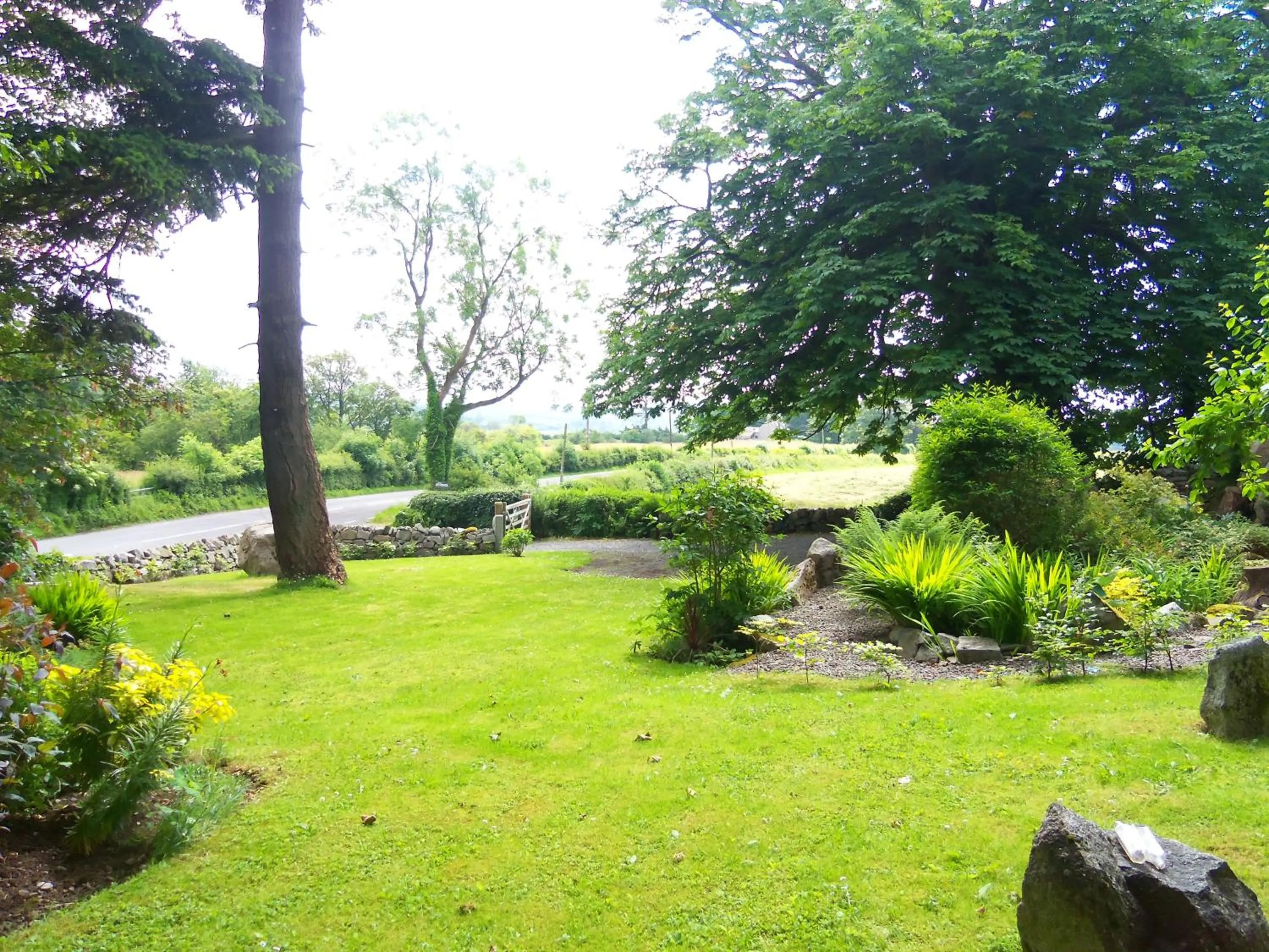 Garden in Craignair Cottage