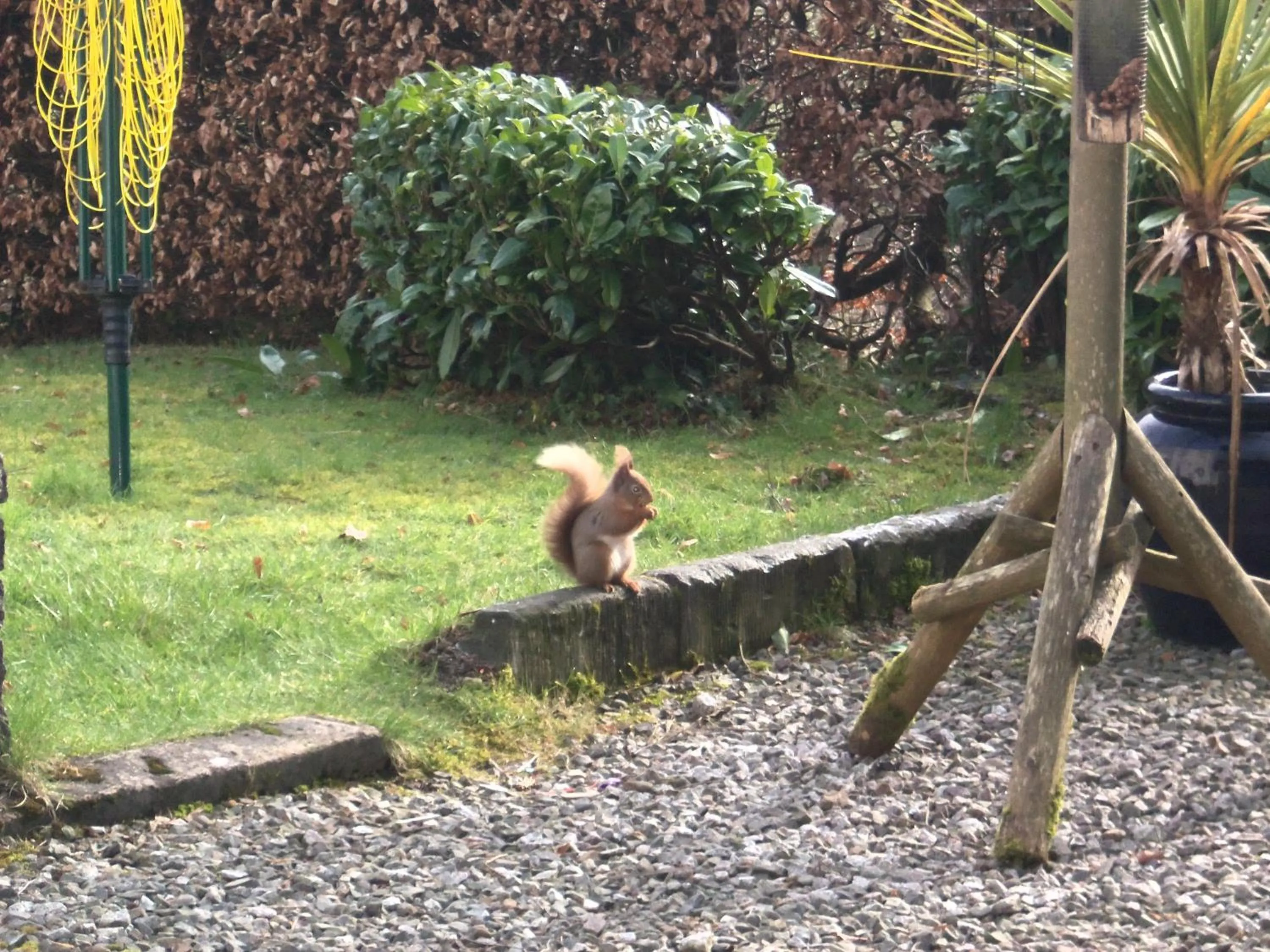 Property building in Craignair Cottage