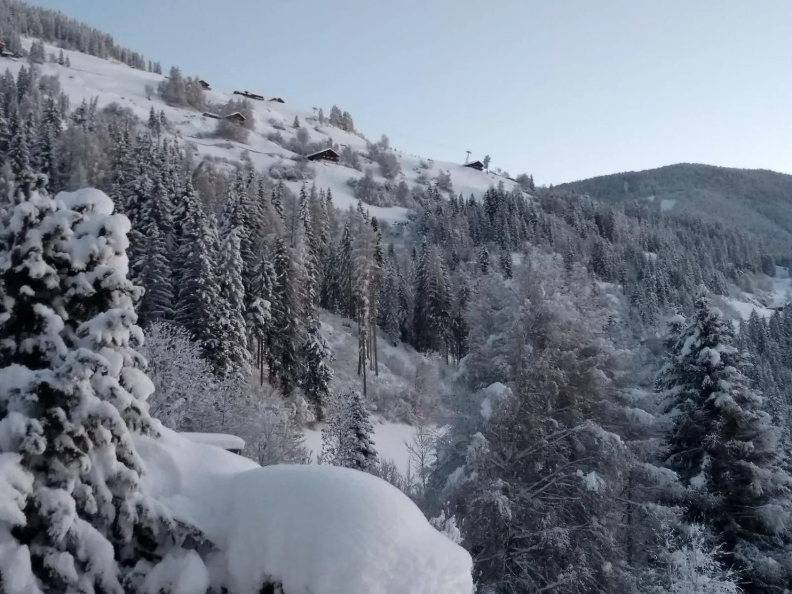 Natural landscape in Appartements Pichler