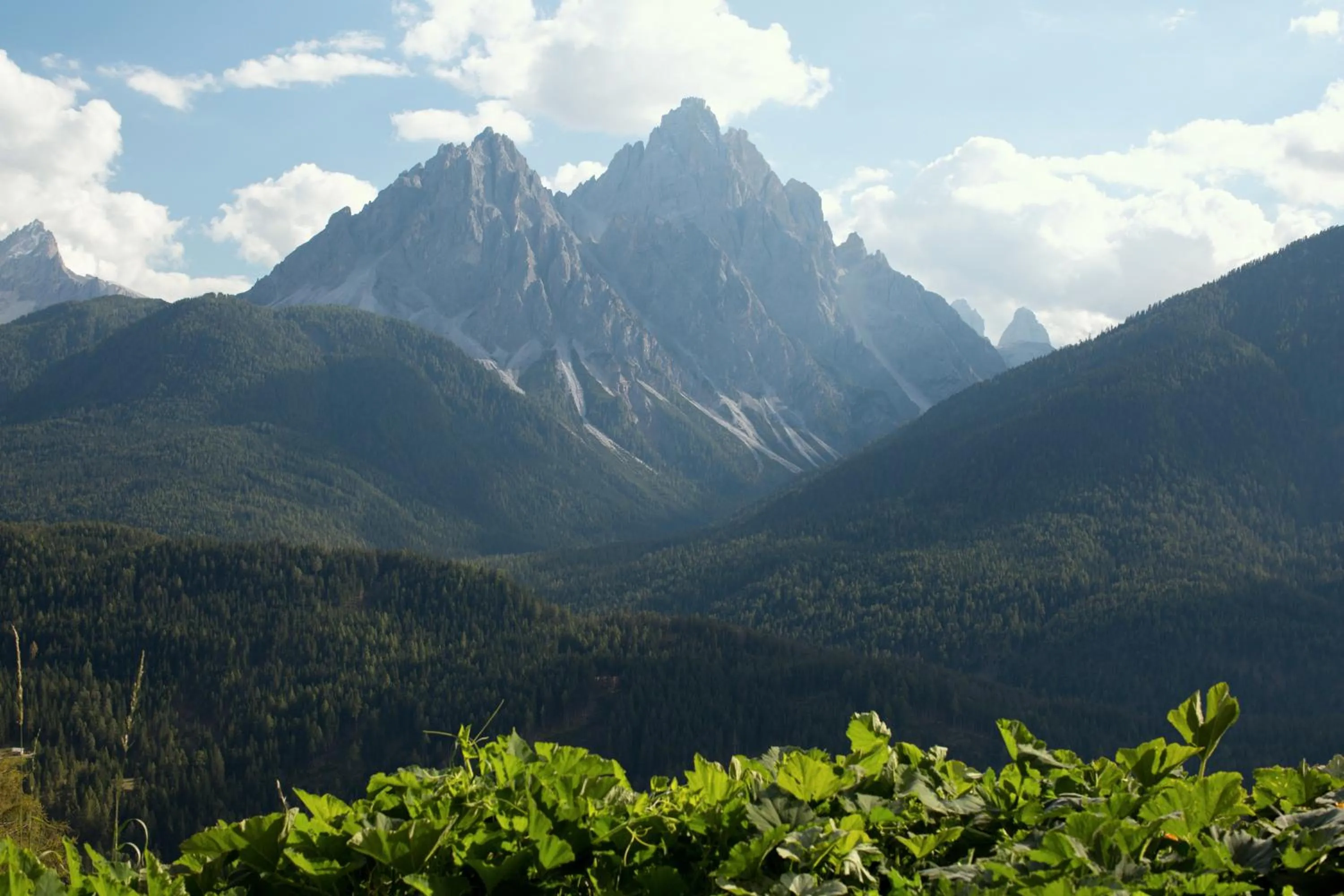 Natural landscape in Appartements Pichler