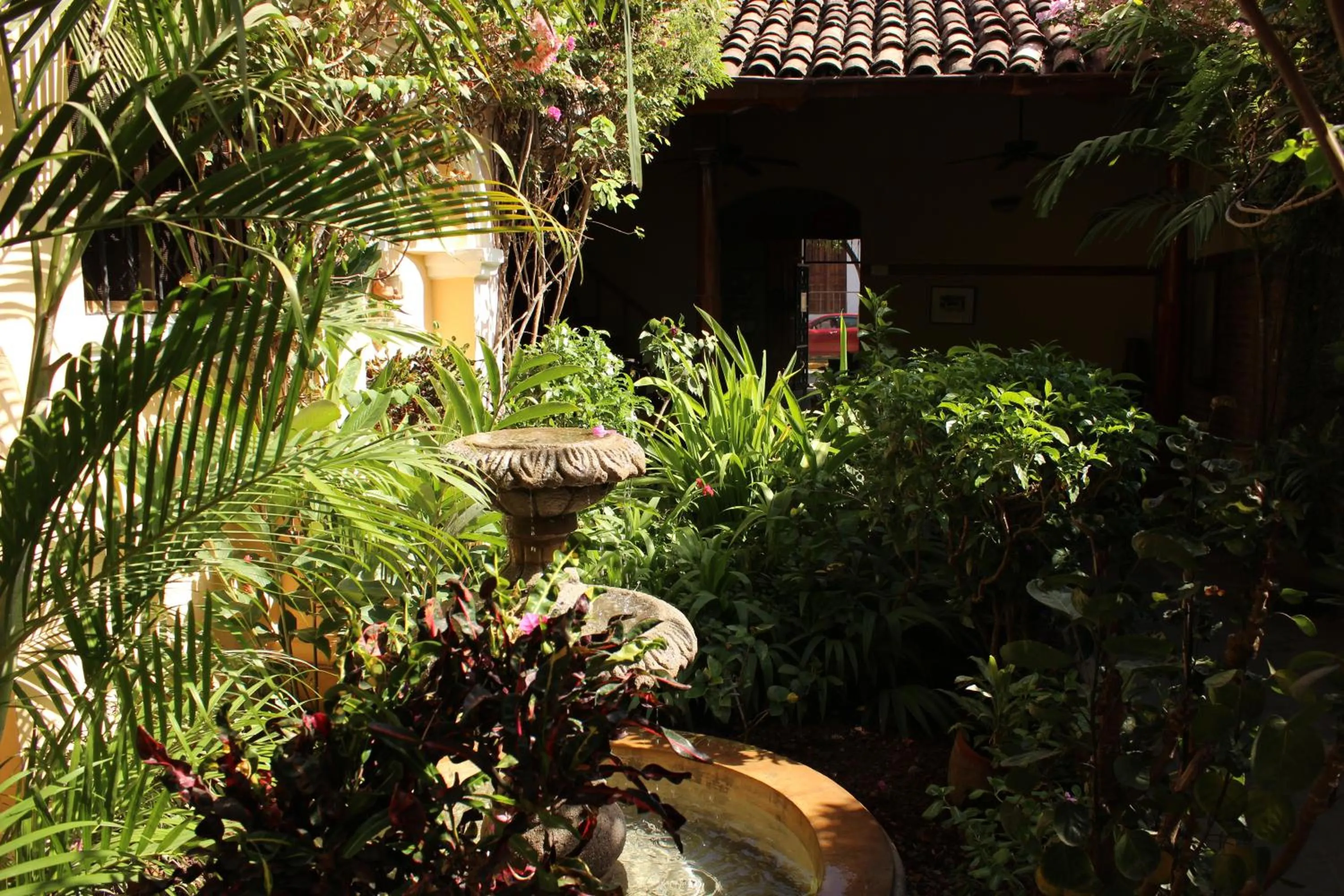 Garden in Hotel Casa San Francisco