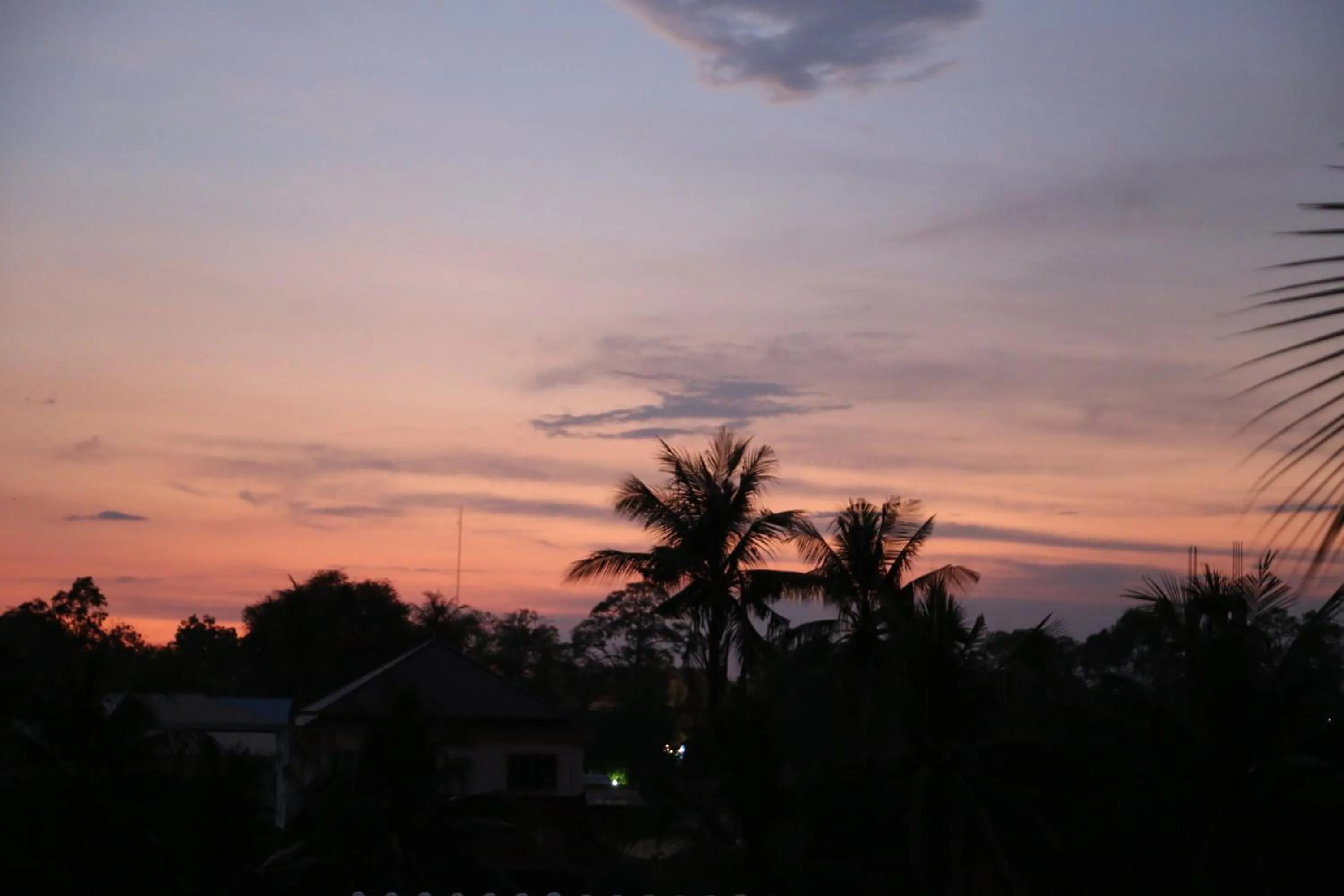 View (from property/room) in The Coconut House Hotel