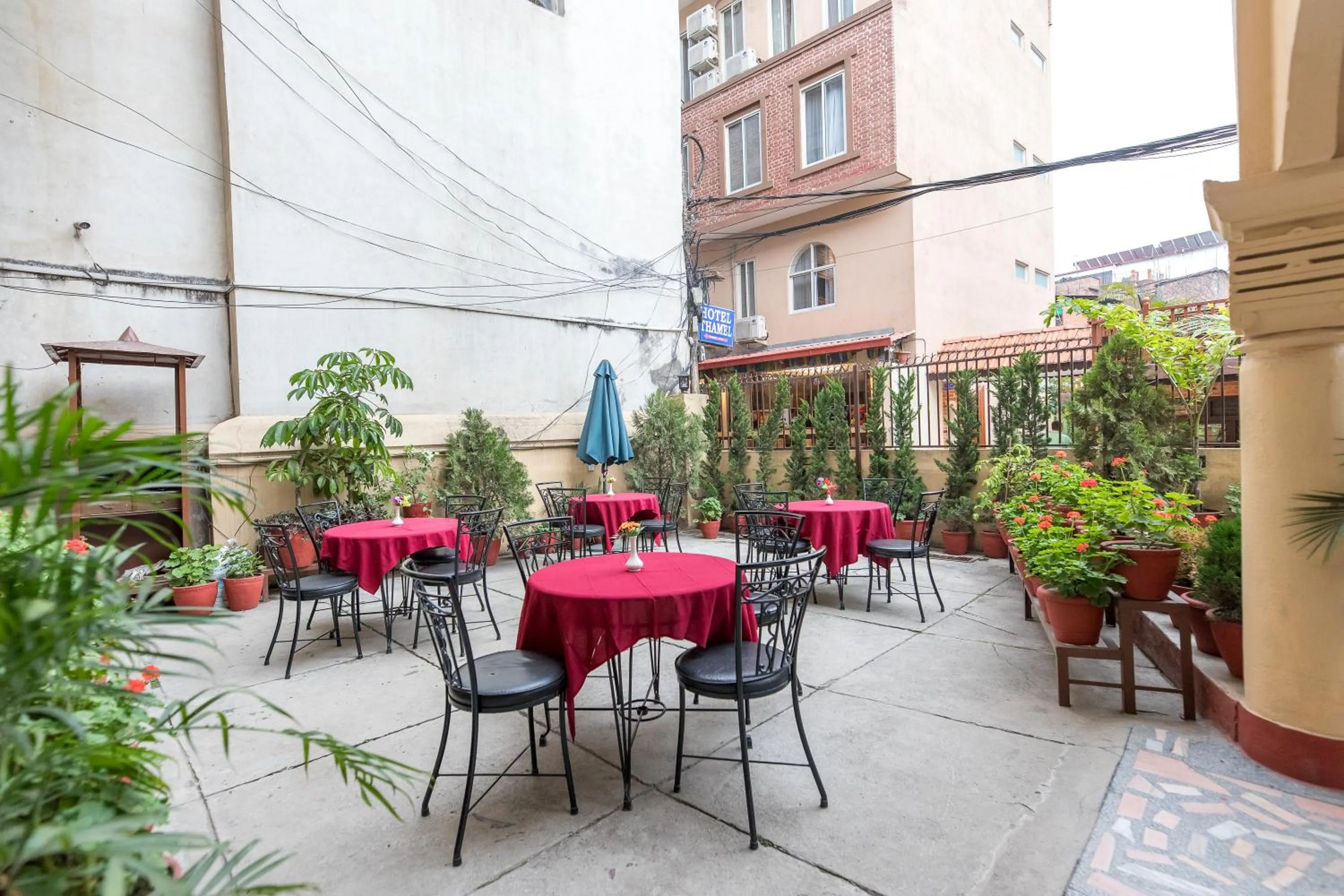 Restaurant/places to eat in Hotel Thamel