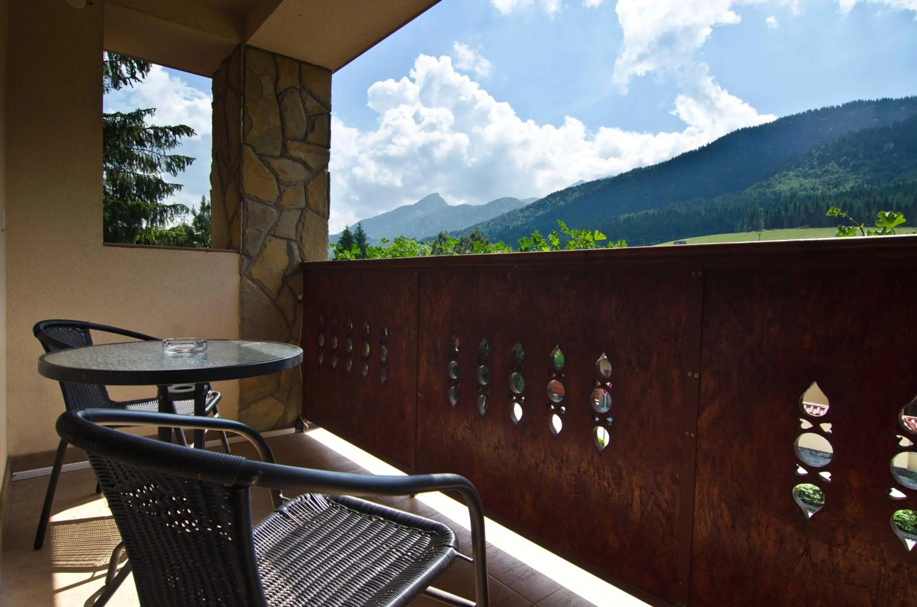 Mountain view in Garni Hotel Fatra