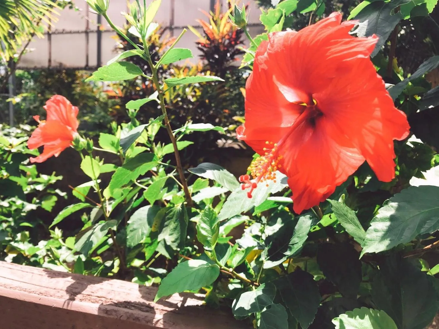 Neighbourhood in Ecot Shimozato 3