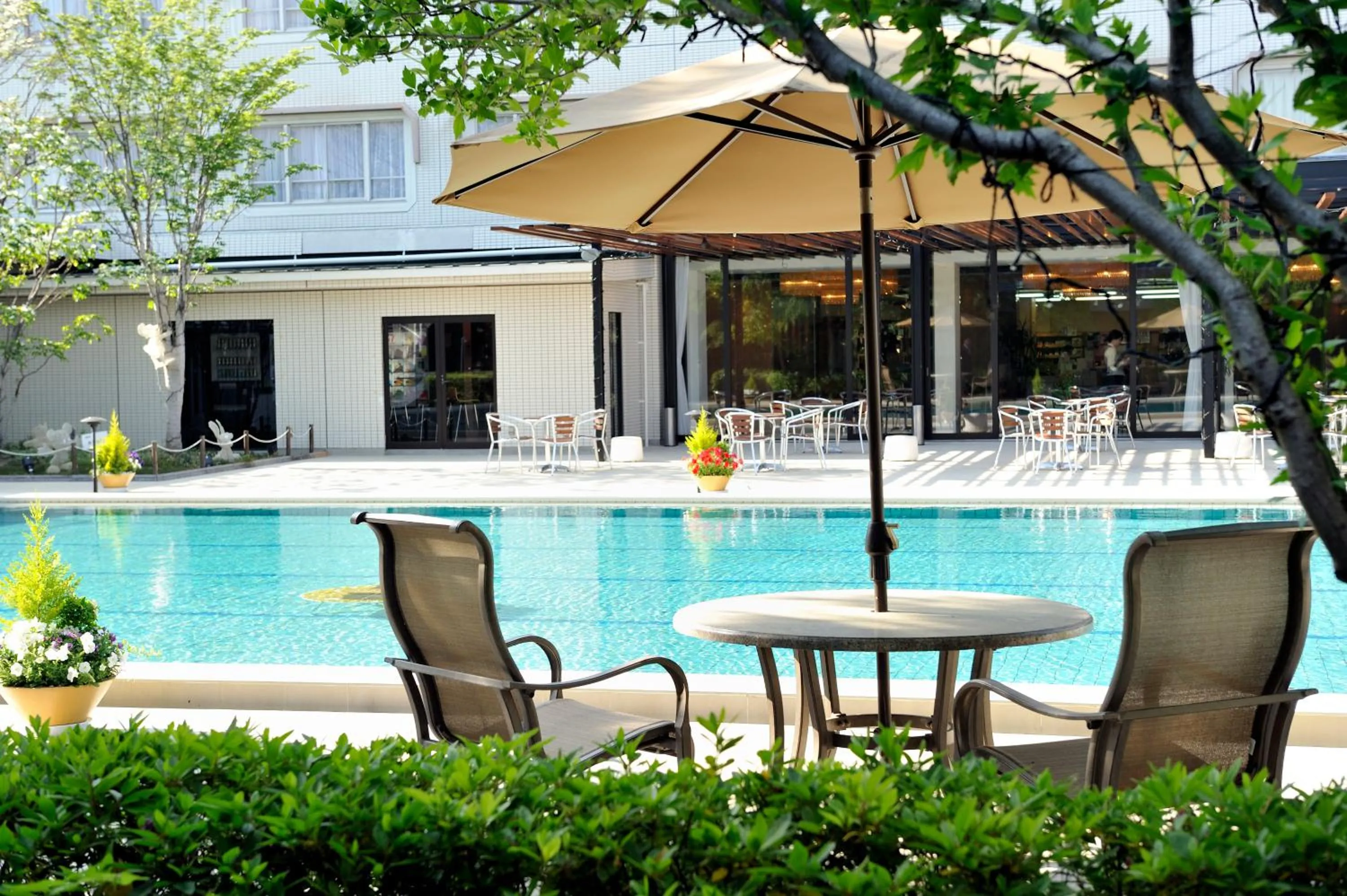 Pool view in Hotel Fuji