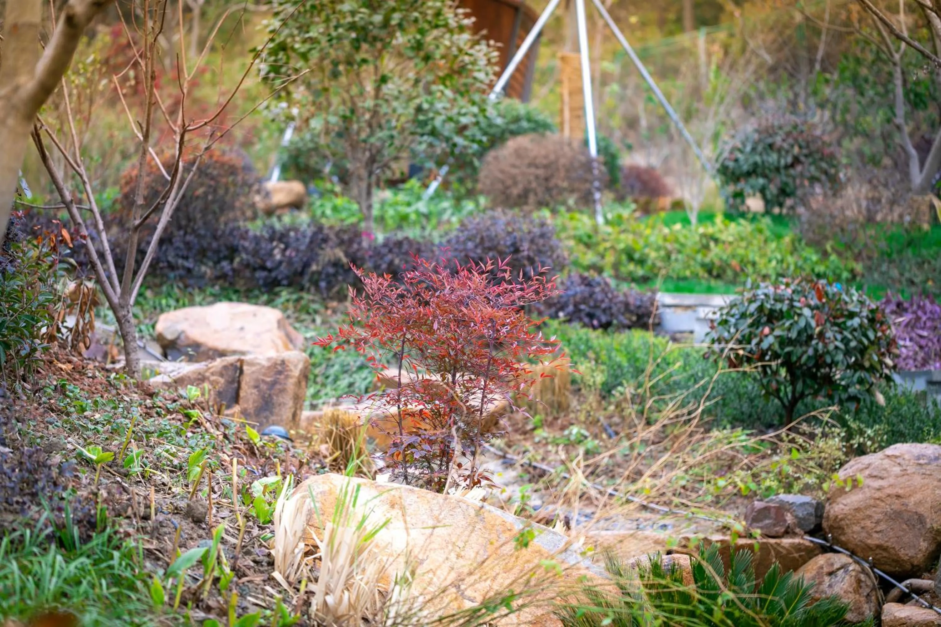 Garden in G-Luxe by Gloria Taimei Suzhou