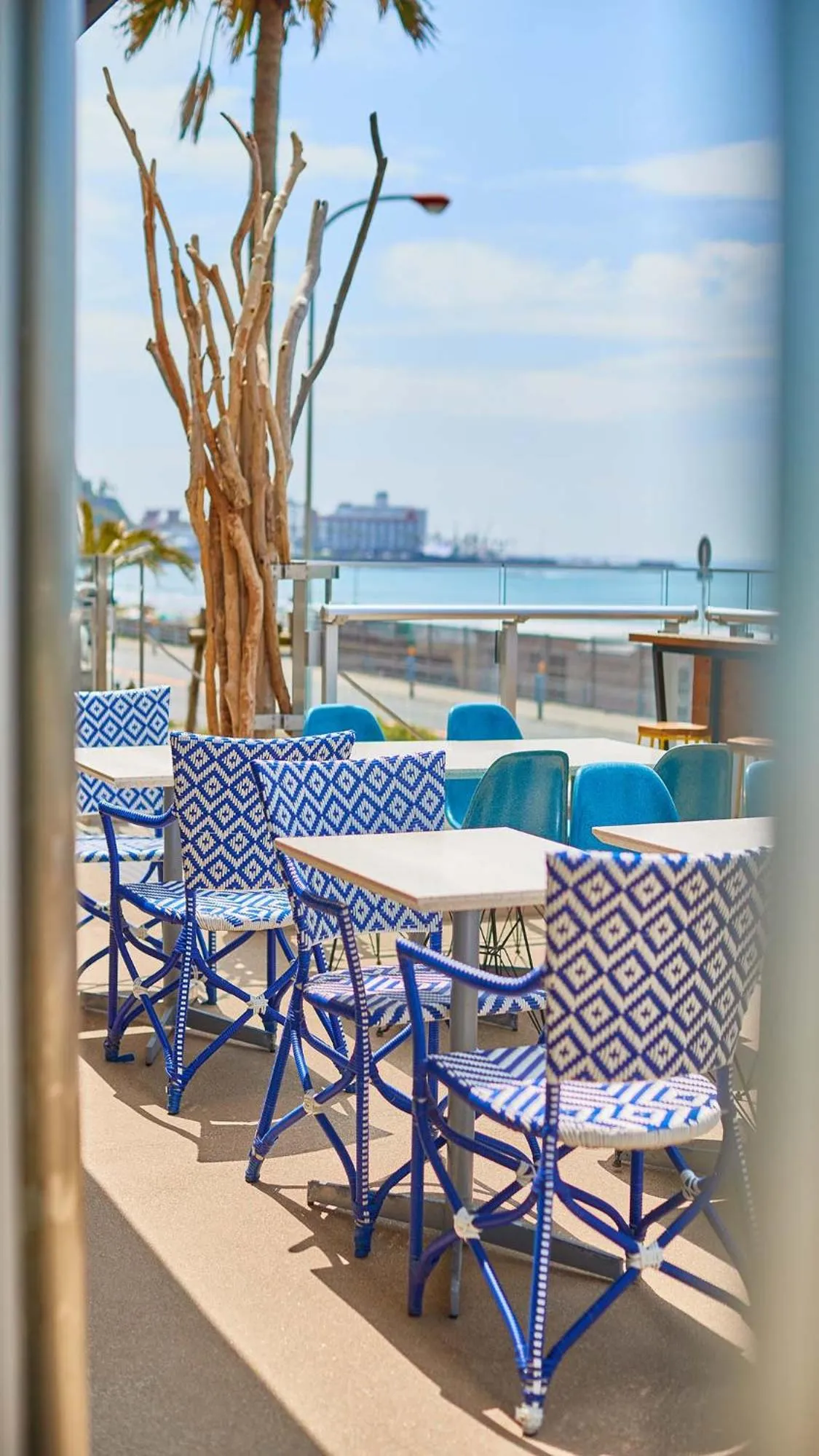 Day in zaimokuza seasons