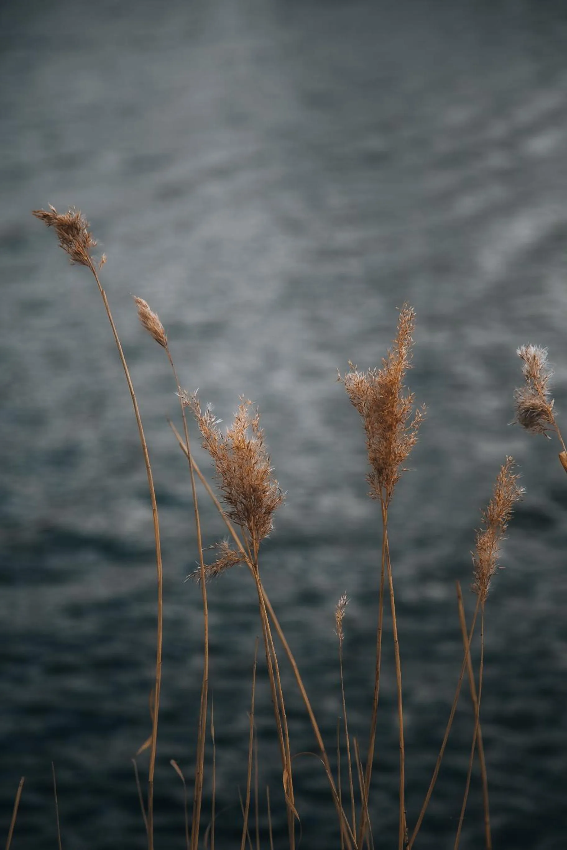 Nearby landmark in Ö Seaside Suites & SPA