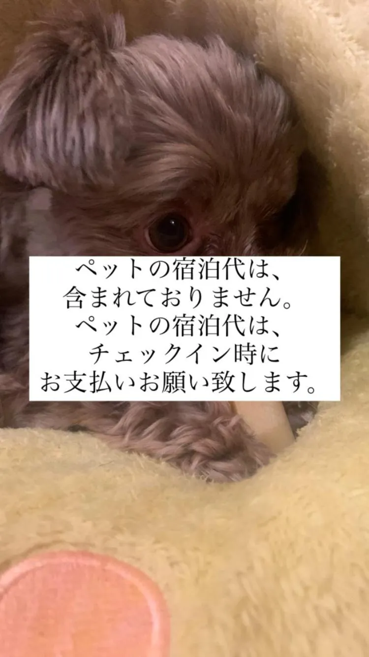 THE LANG HOTEL Hakata