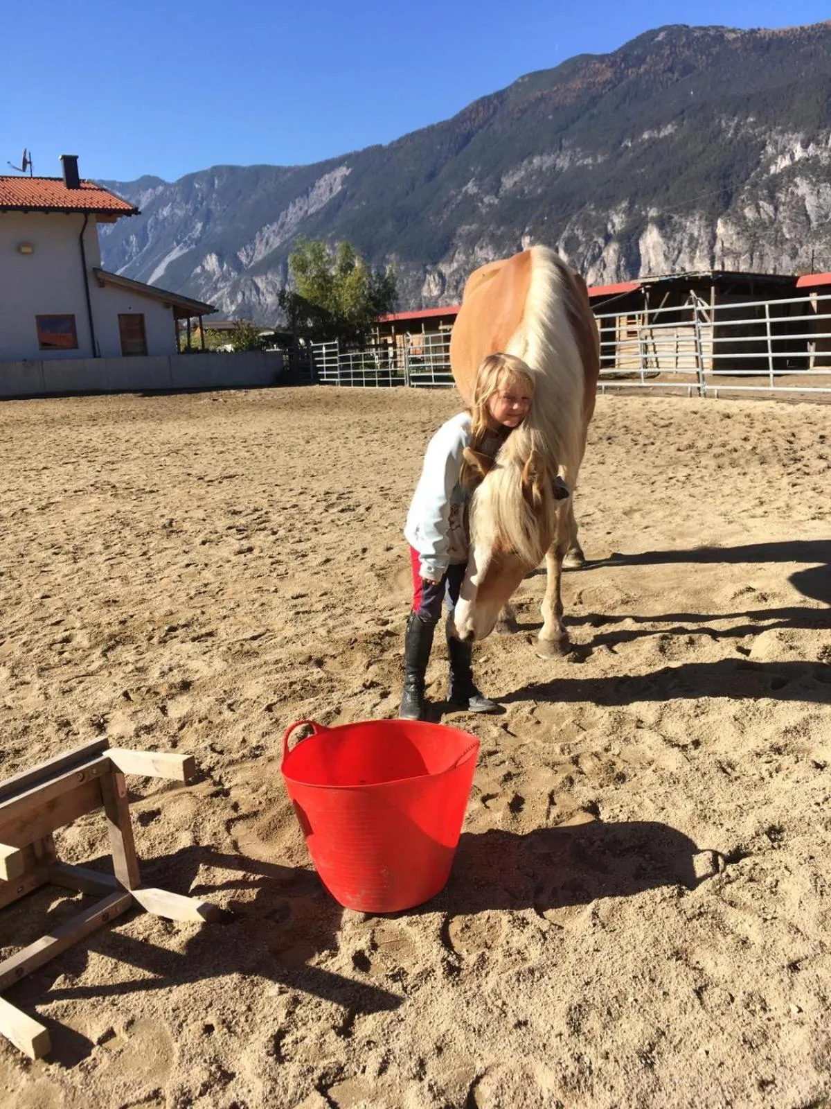 Animals in B&B Margit's Ranch Urlaub am Pferdehof