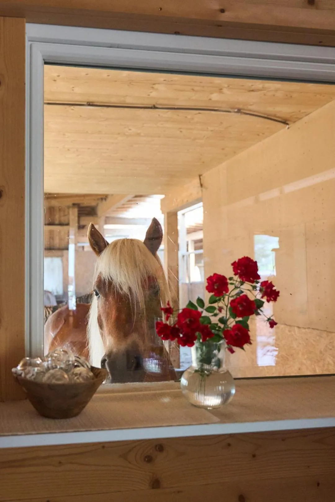 View (from property/room) in B&B Margit's Ranch Urlaub am Pferdehof