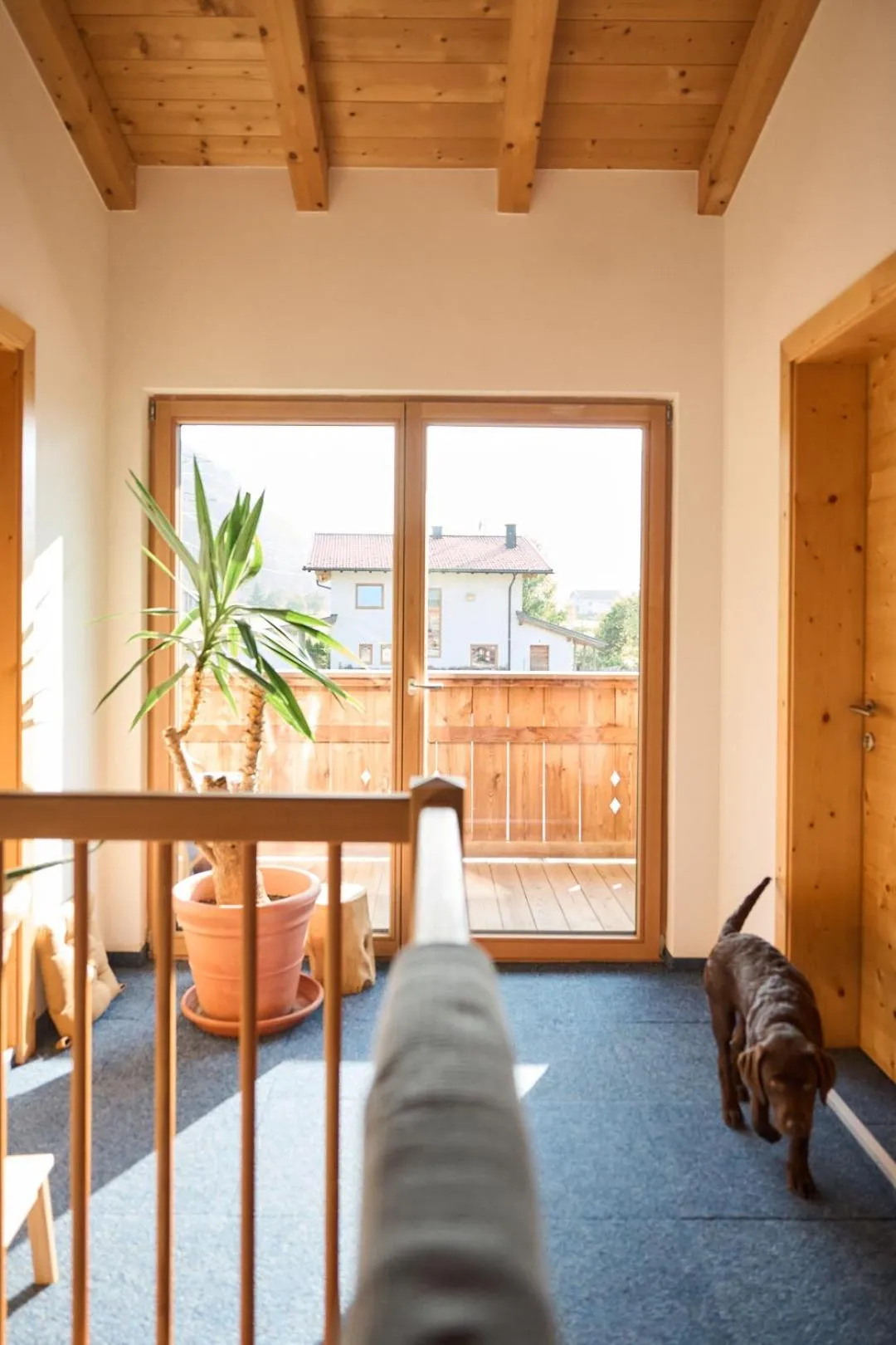 B&B Margit's Ranch Urlaub am Pferdehof