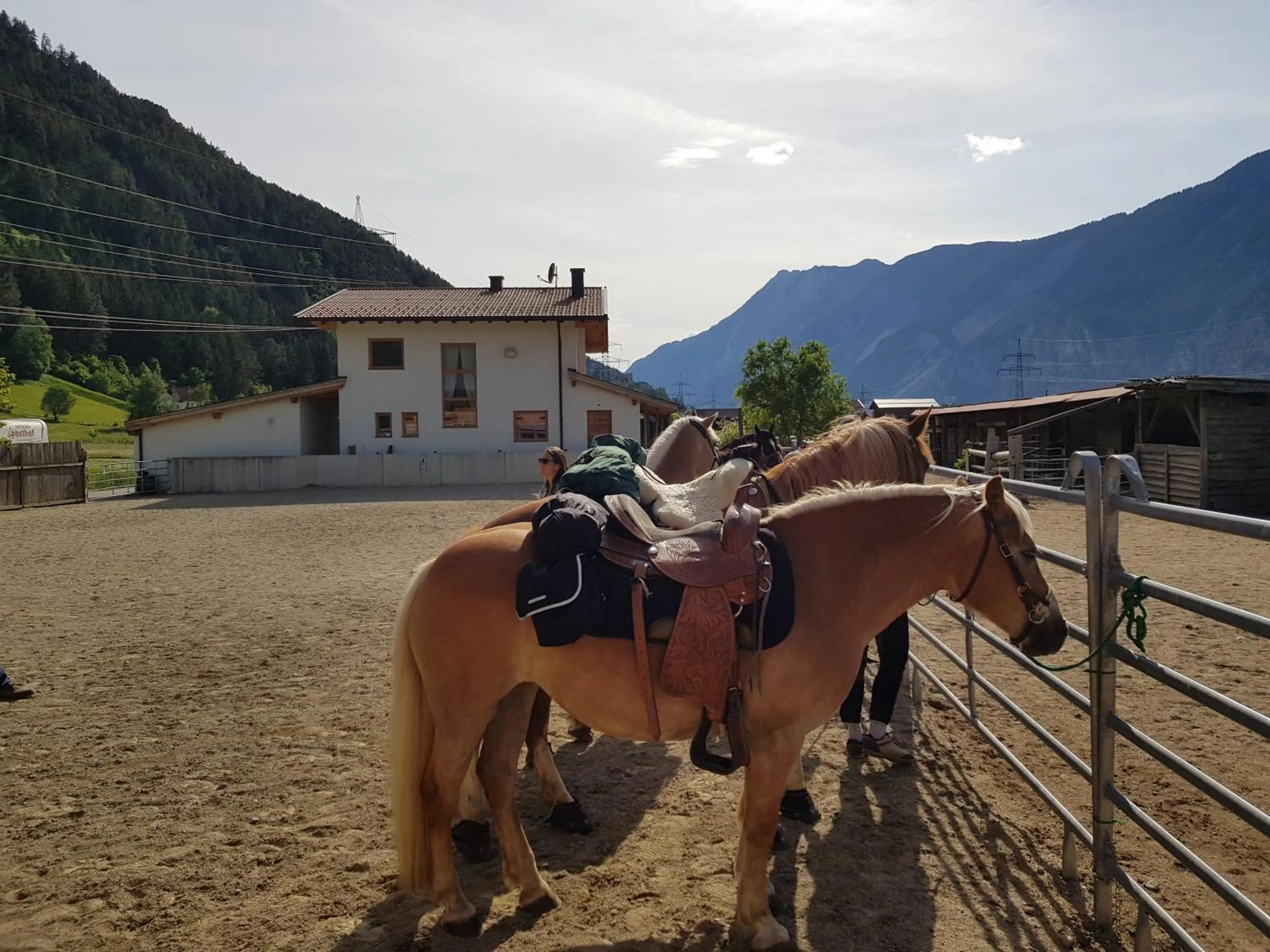 Horse-riding in B&B Margit's Ranch Urlaub am Pferdehof