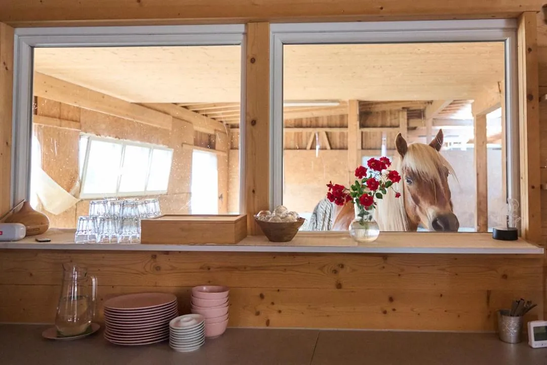 Buffet breakfast in B&B Margit's Ranch Urlaub am Pferdehof