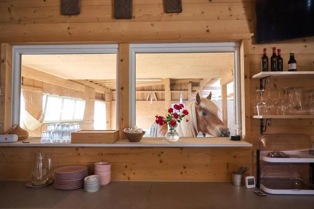 Breakfast in B&B Margit's Ranch Urlaub am Pferdehof