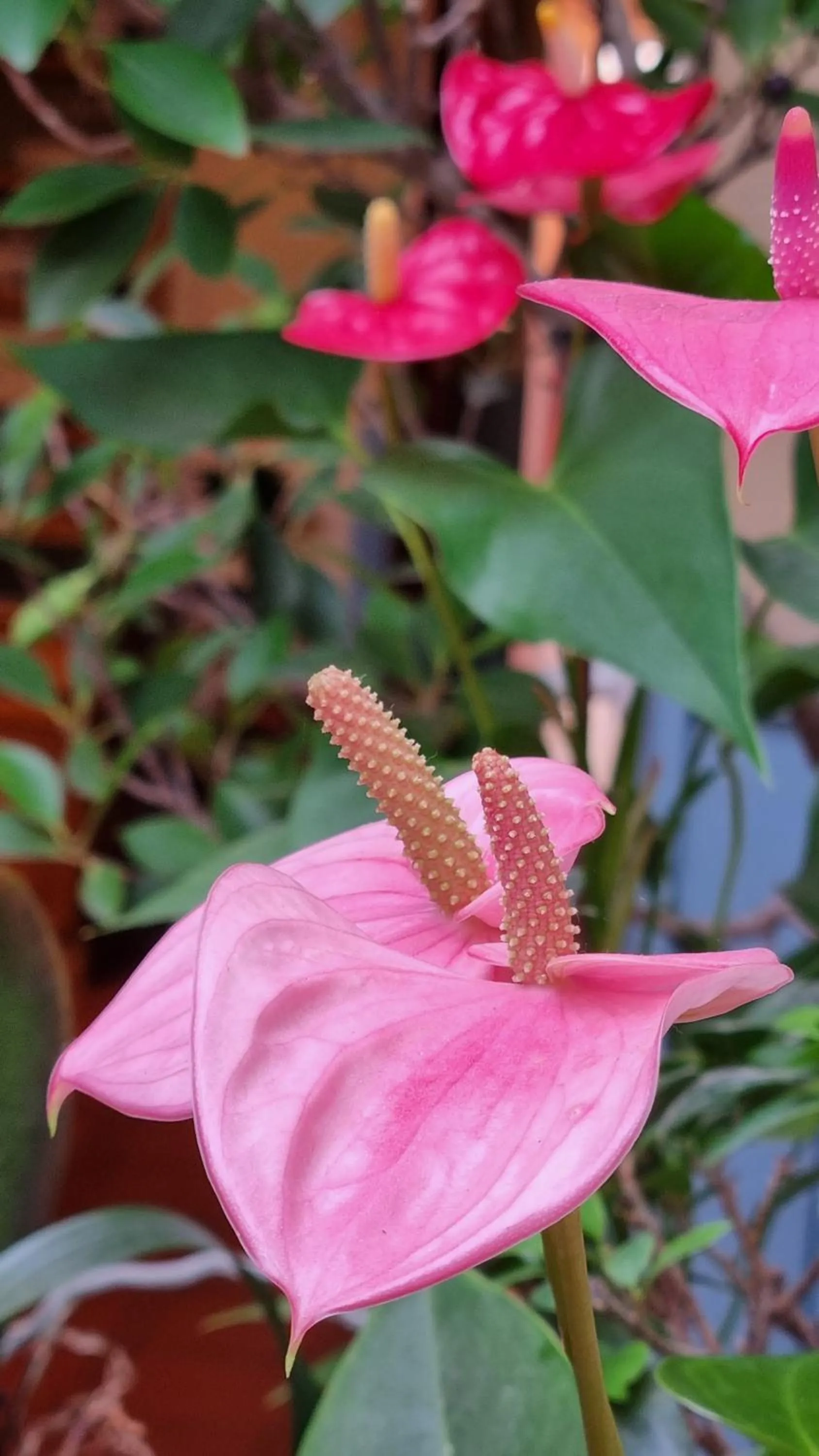 Decorative detail in Hotel Torino