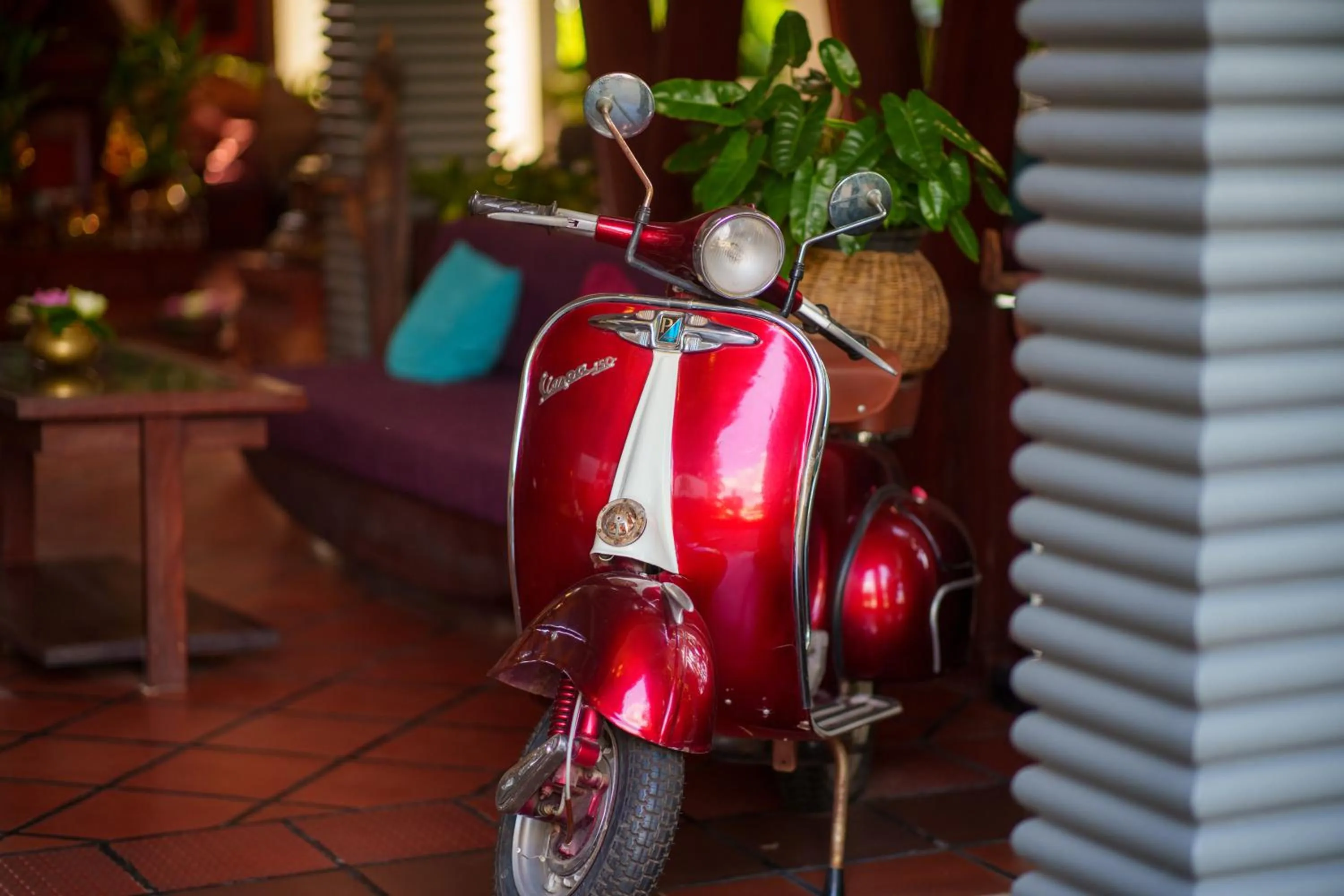 Cycling in SAKABAN Suite