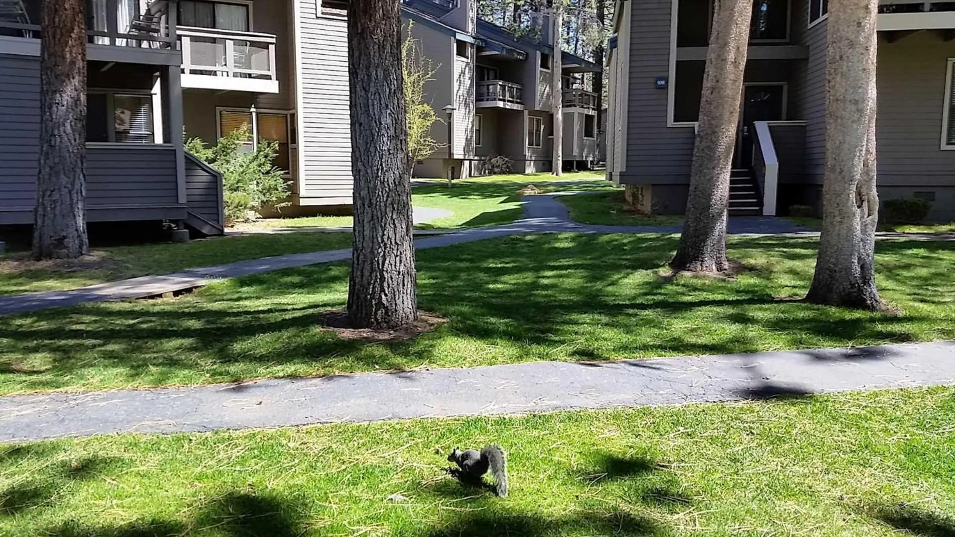 Lakeland Village #105