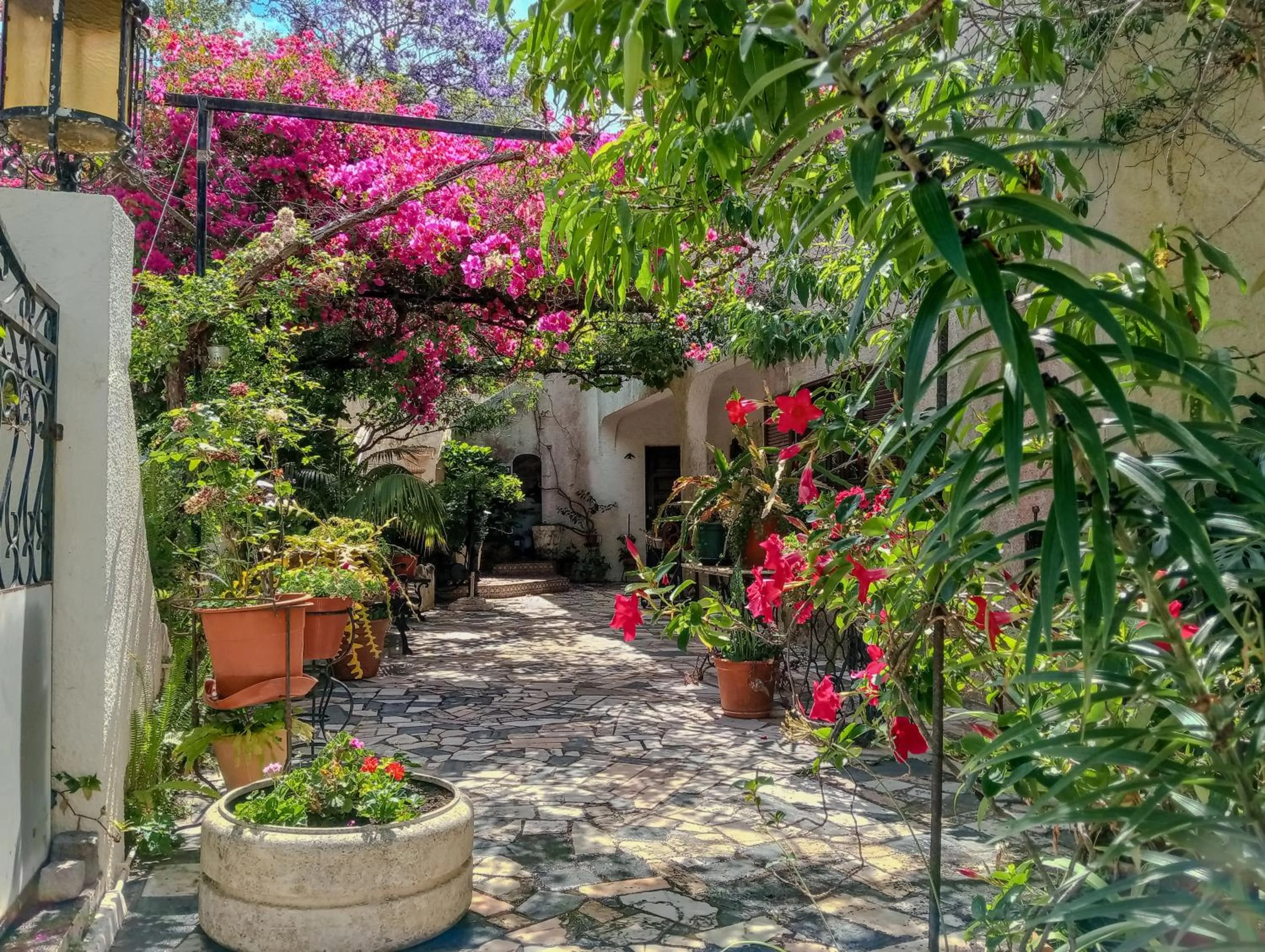 Garden in Albergaria do Lageado