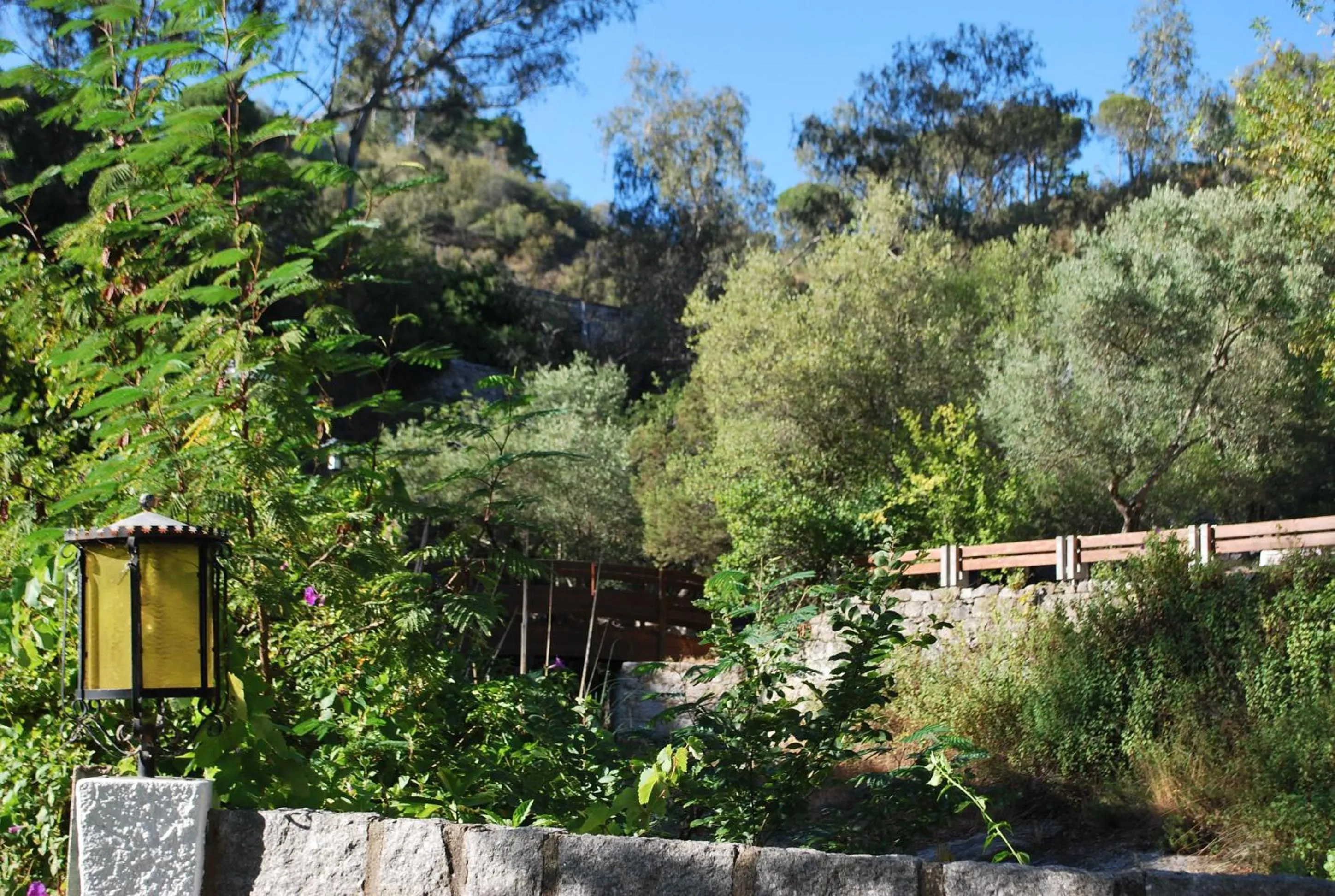 Garden in Albergaria do Lageado