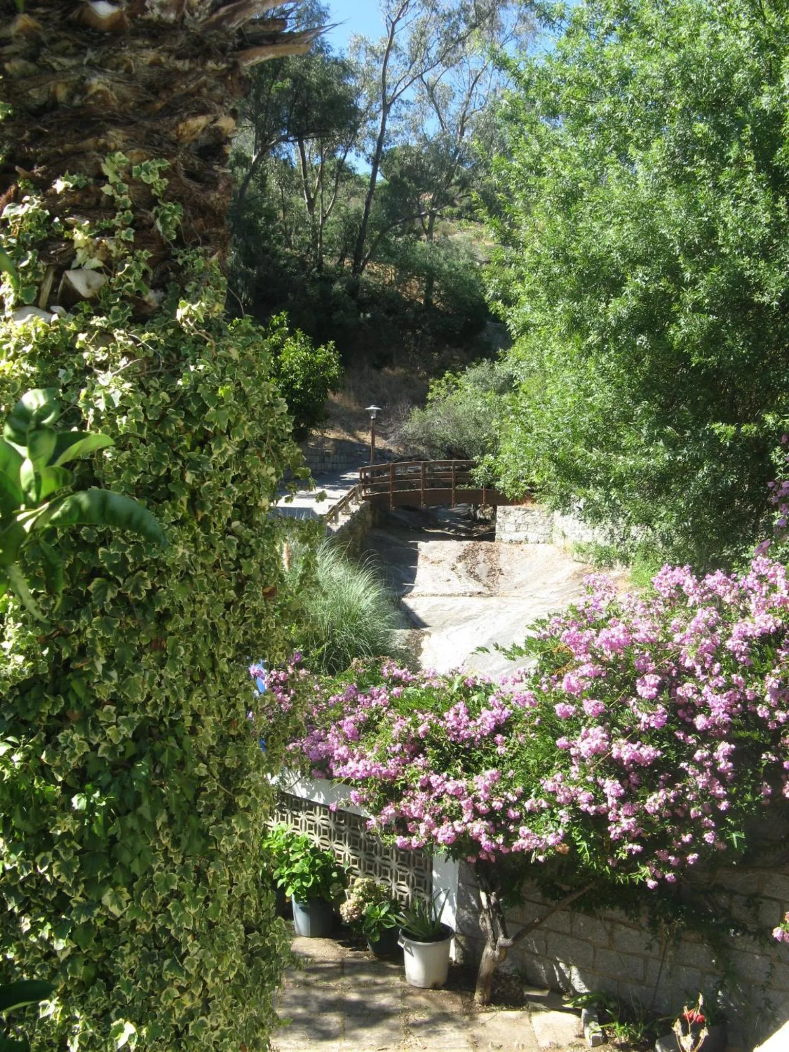 Garden in Albergaria do Lageado