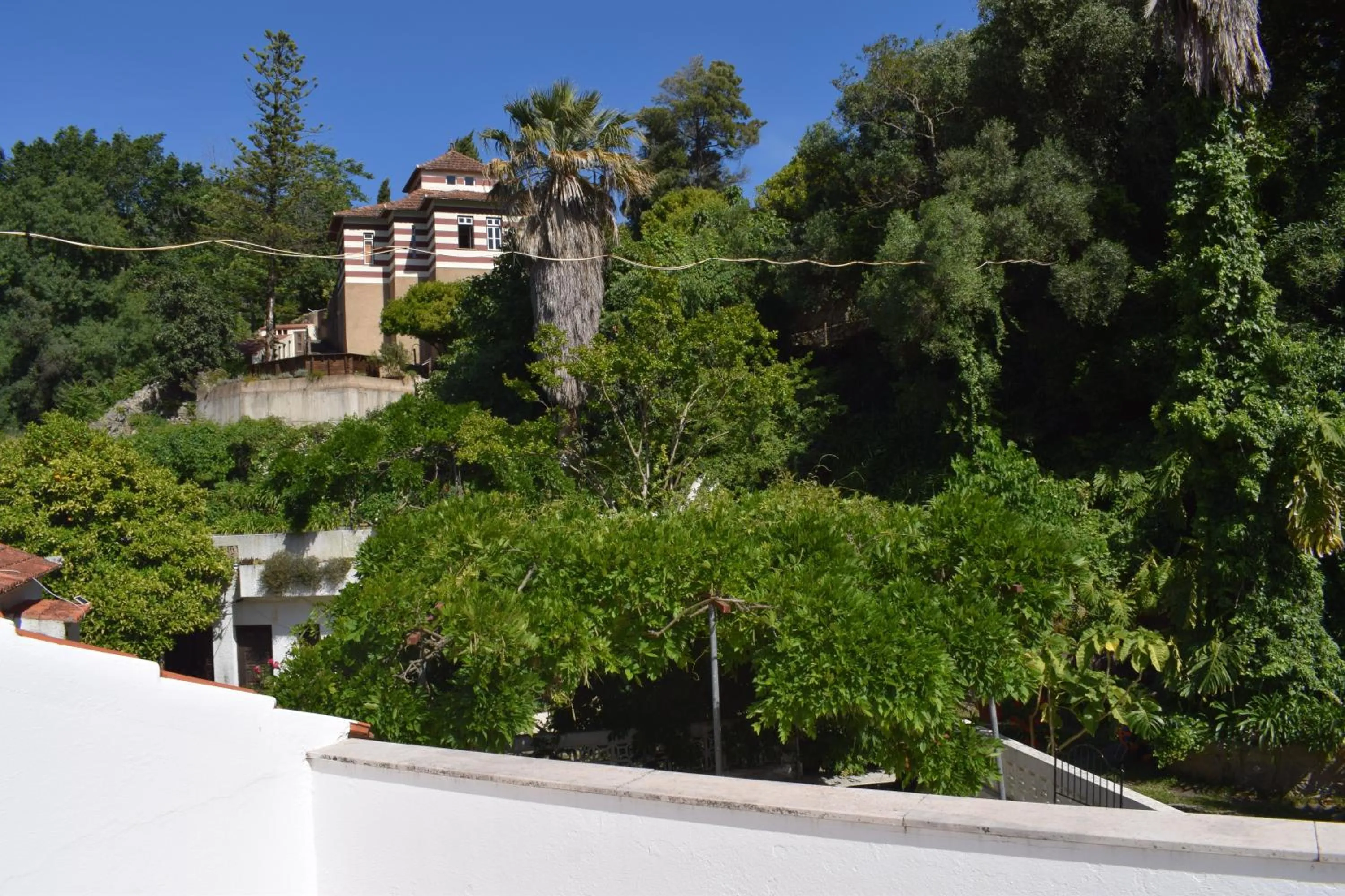 Natural landscape in Albergaria do Lageado