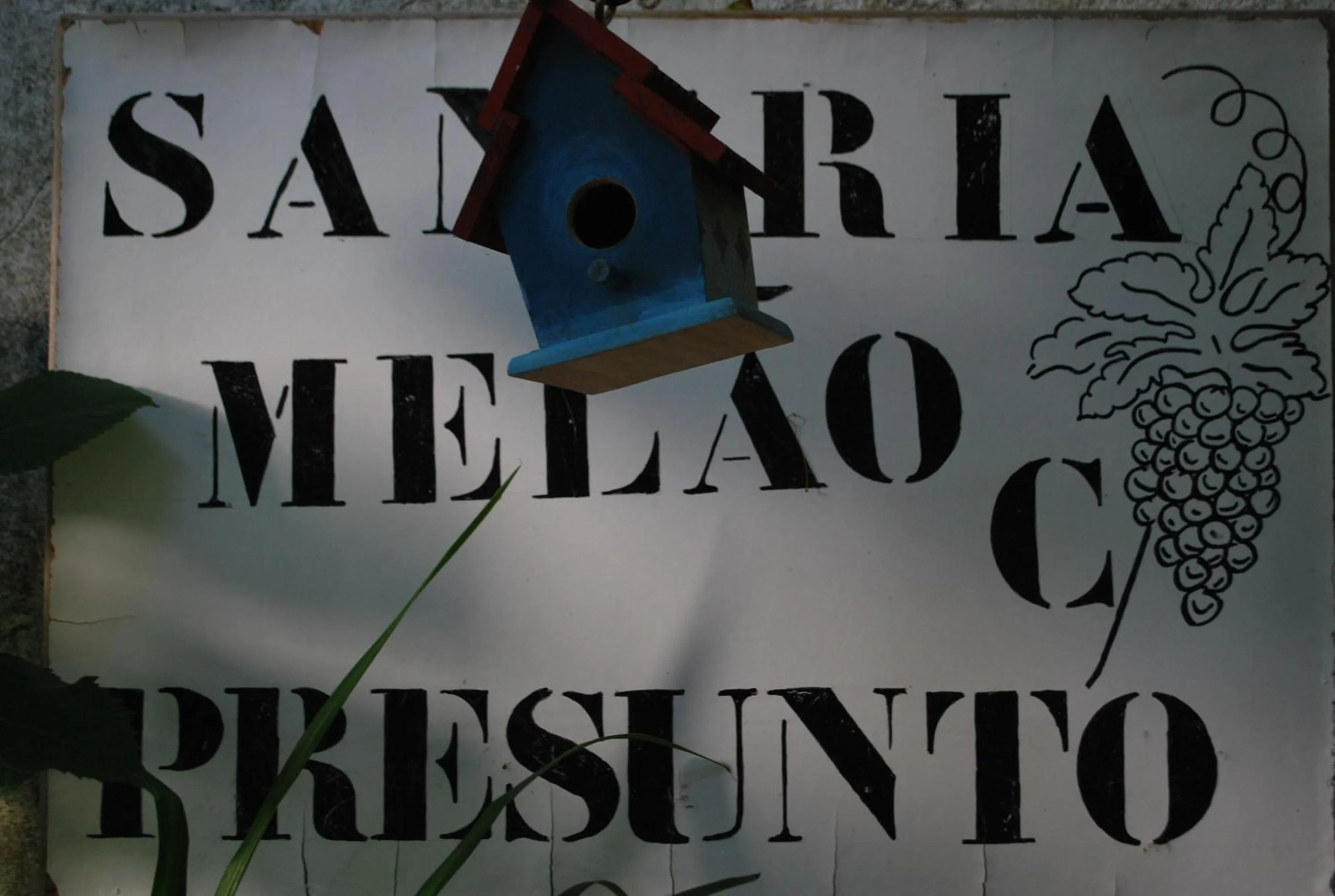 Patio in Albergaria do Lageado